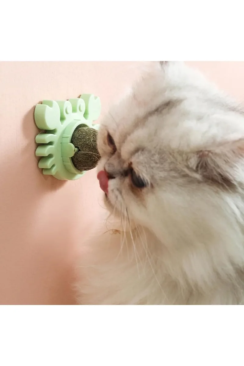 Runaway Yengeç Kedi Otu Oyun Topu Yapışkanlı ve Doğal