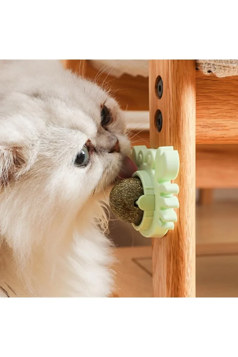 Runaway Yengeç Kedi Otu Oyun Topu Yapışkanlı ve Doğal