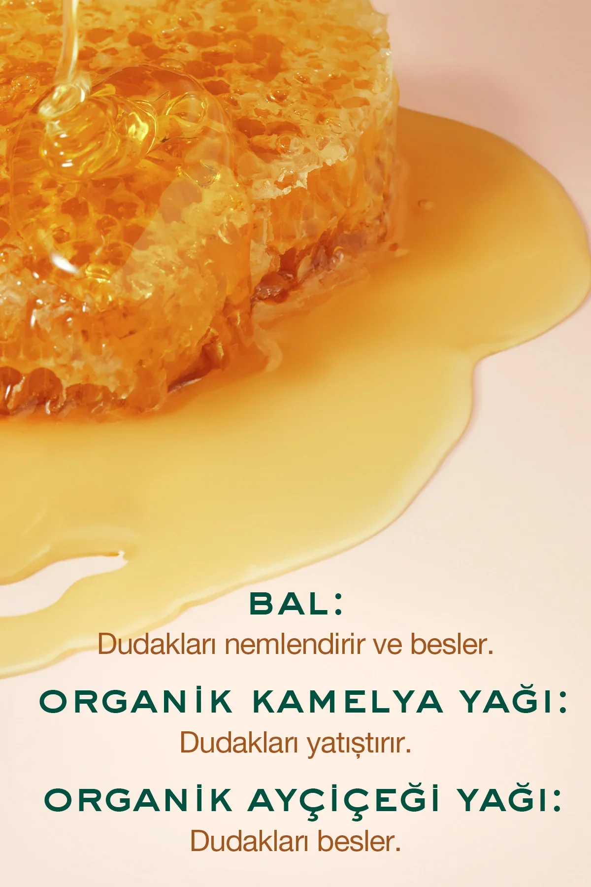 Rêve de Miel Nemlendirici ve Koruyucu Dudak Kremi - Görsel 4