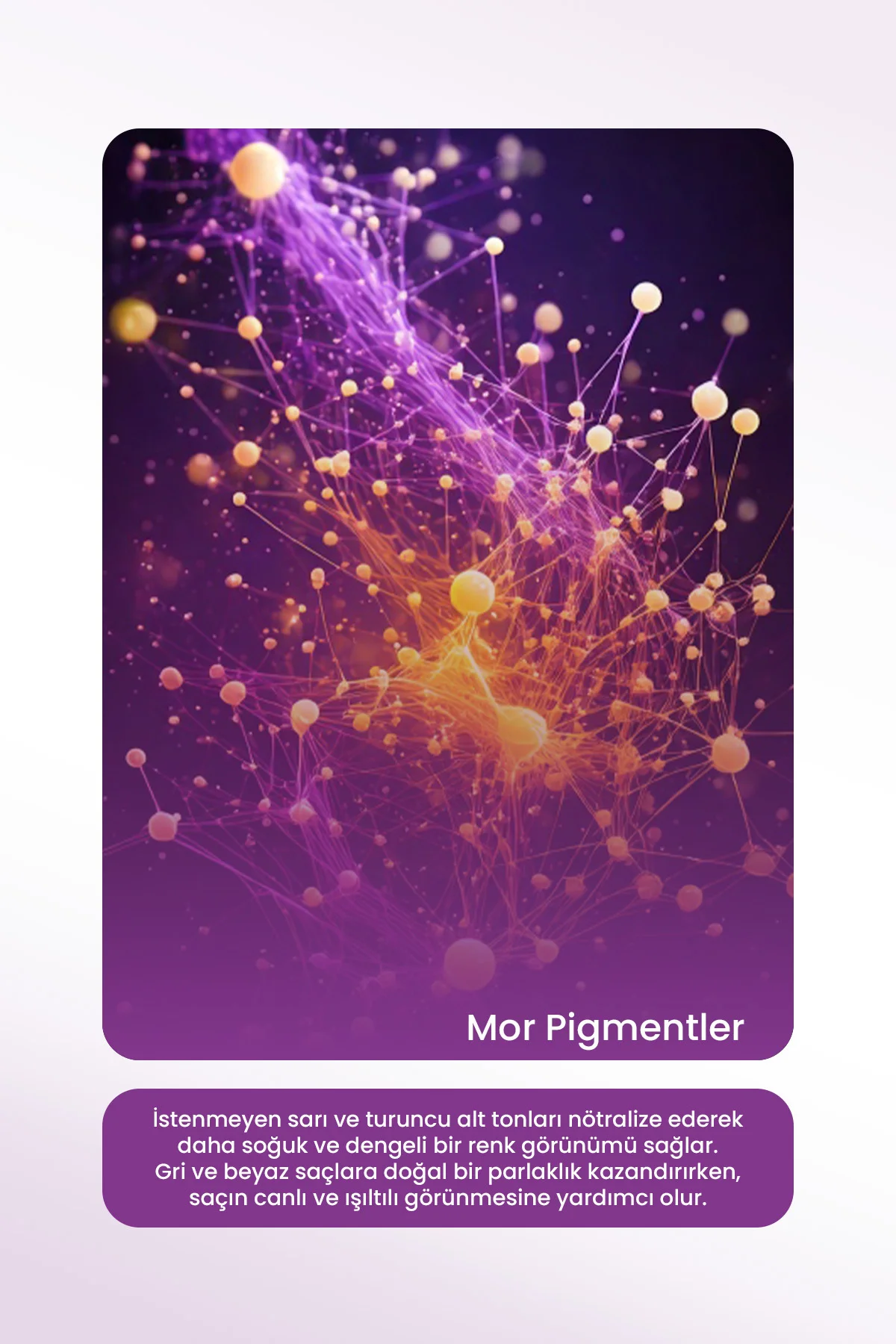 Saach Professıonal Silver Mor Pigment Shampoo - Görsel 4