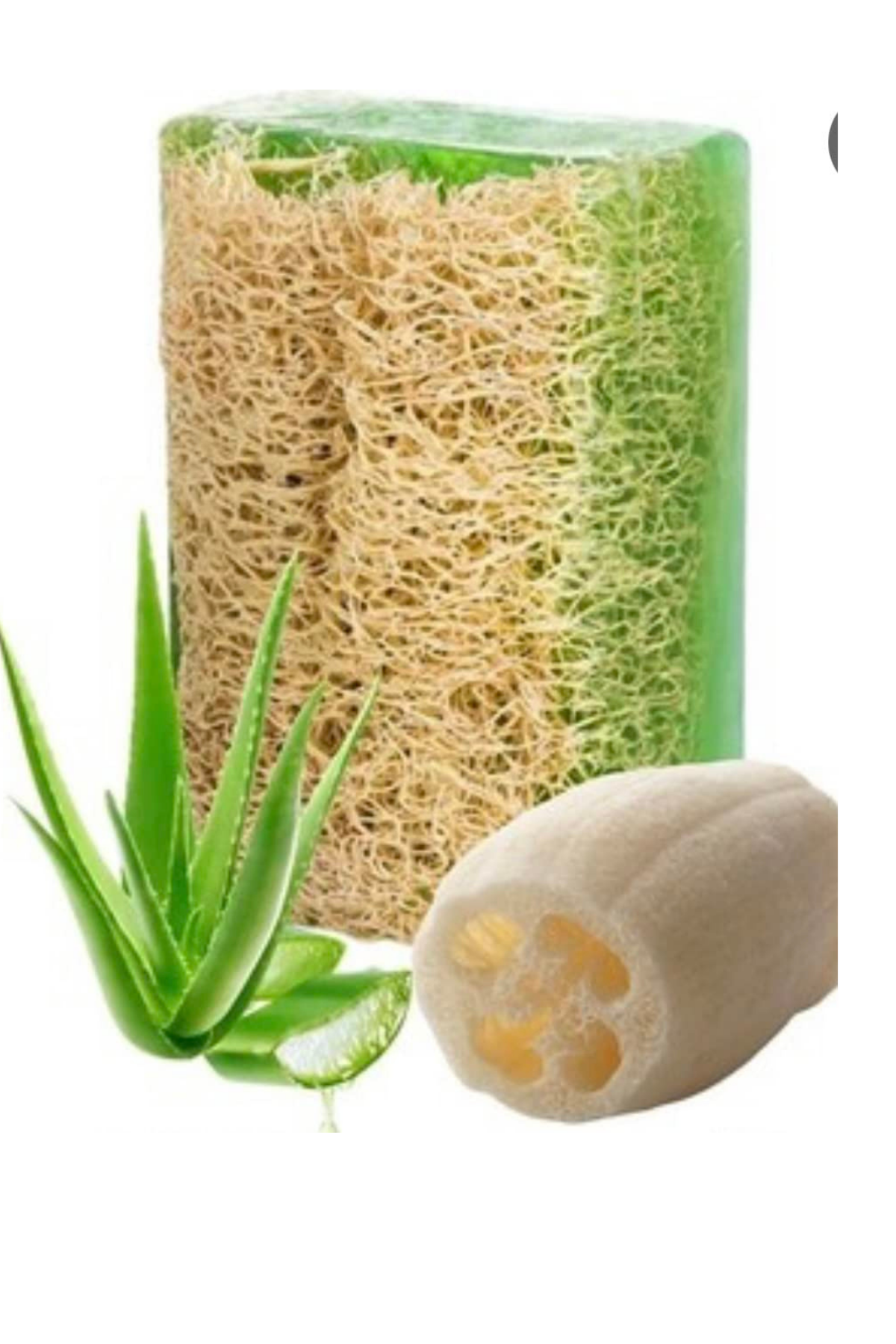 Just Cheap Store Sabun Saklama Çantali Kabak Lifli Aloe Vera Sabunu