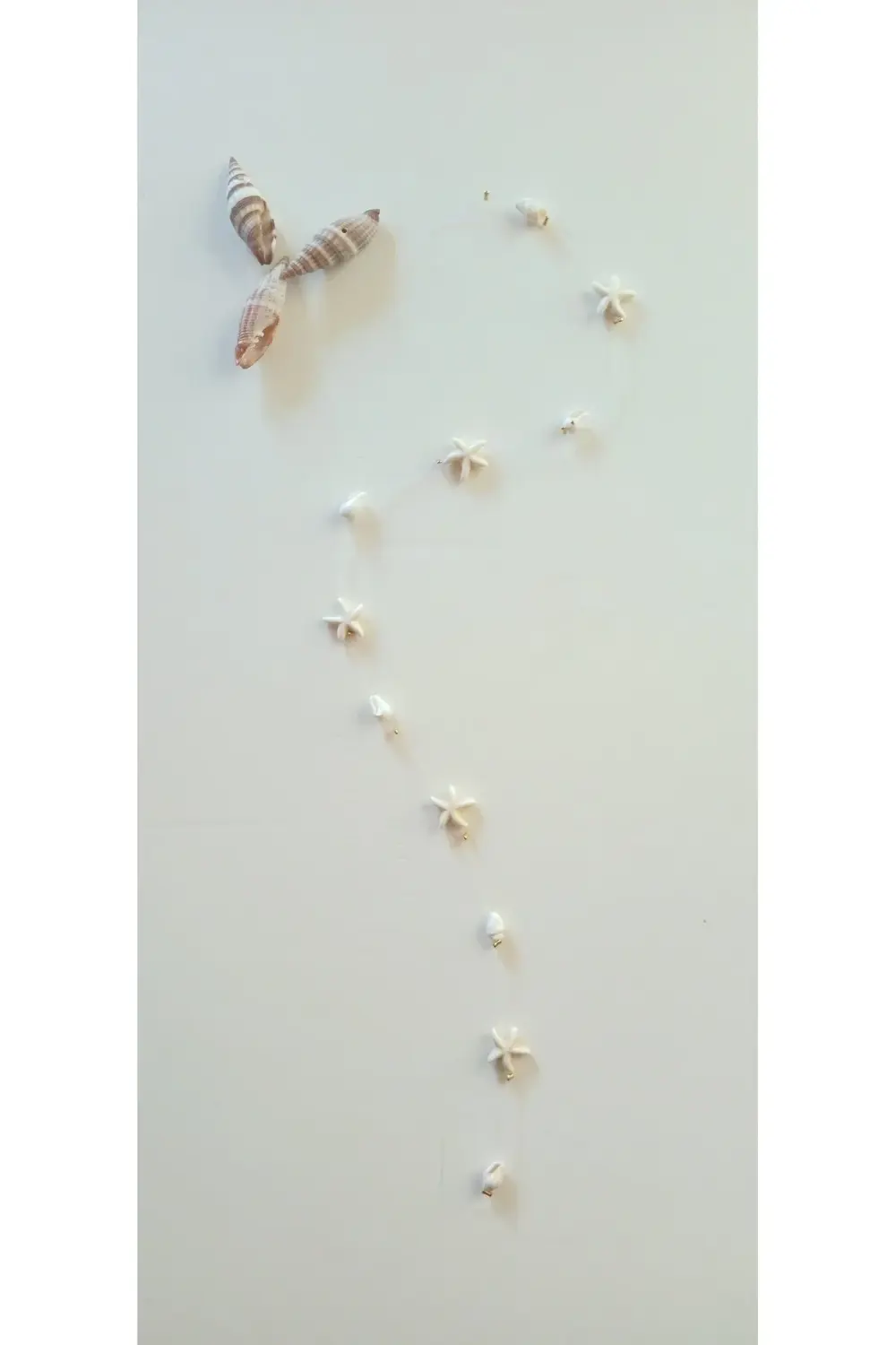 SAÇ BONCUĞU DENİZ YILDIZI VE DENİZ KABUĞU MODEL