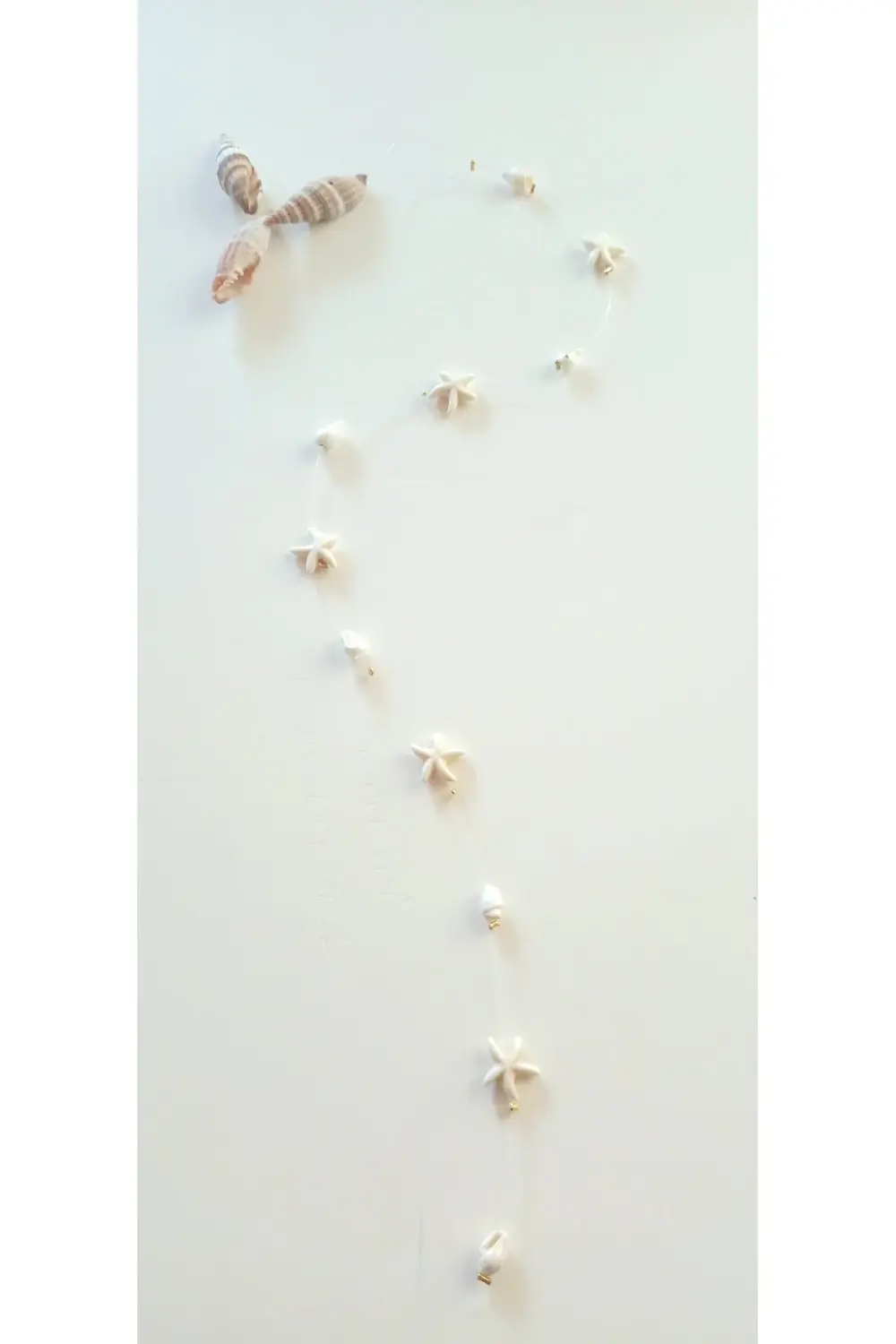 SAÇ BONCUĞU DENİZ YILDIZI VE DENİZ KABUĞU MODEL