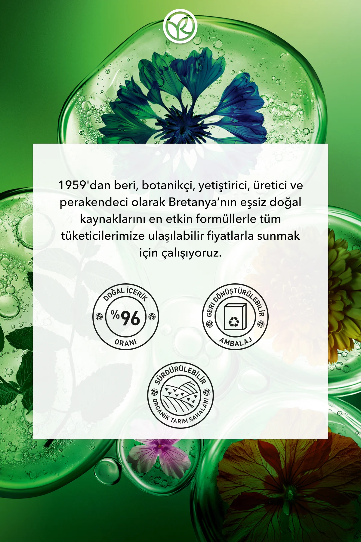 Saç Derisi Serumu - Rahatlatıcı Canlandırıcı Botanik &Sakkarit Ko