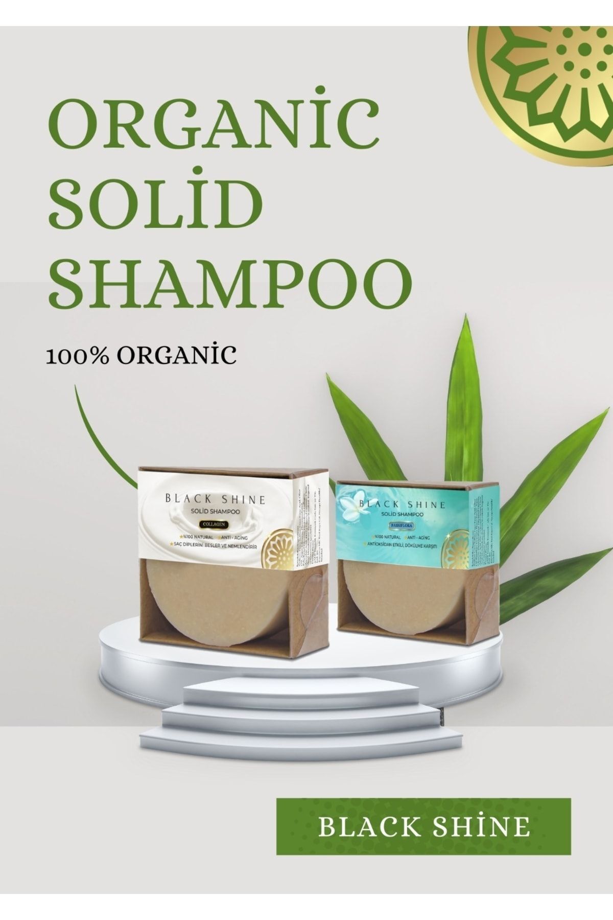 Black Shine Bs Saç Dökülmelerine Karşi Passiflora Katkili Kati Şampuan