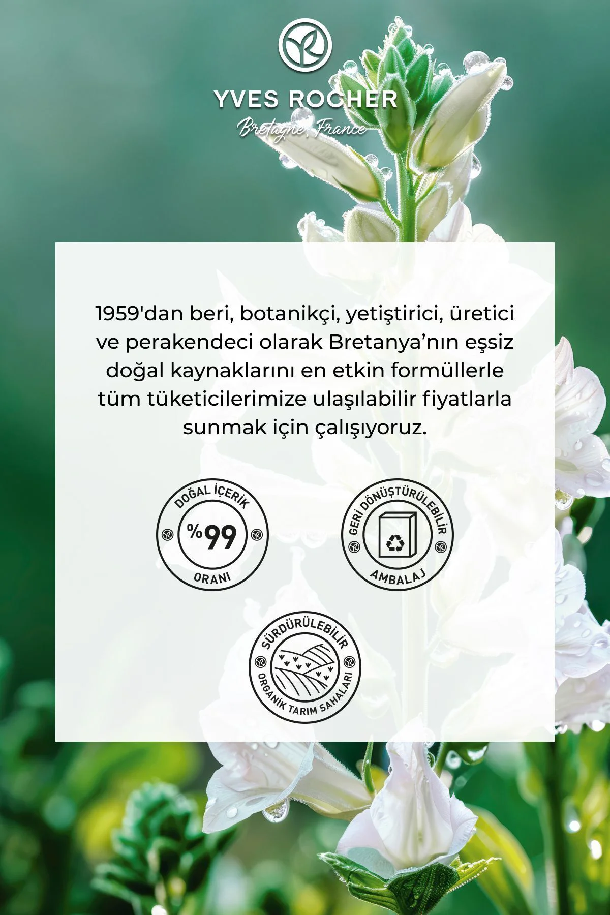 Saç Tellerini Güçlendirici Saç Dökülme Karşıtı ve Engelleyici Ser