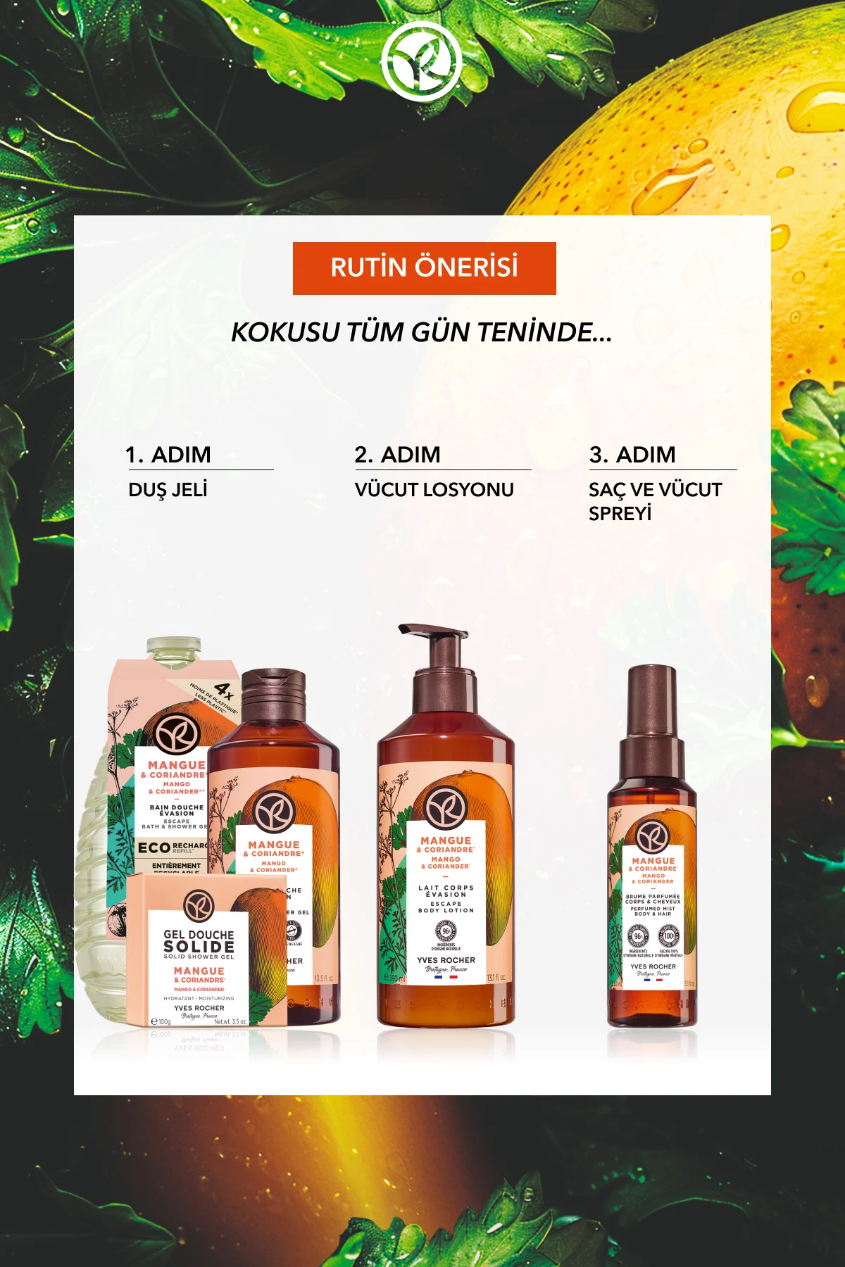 Saç ve Vücut Spreyi- Canlandırıcı Mango & Kişniş - Vegan-100ml