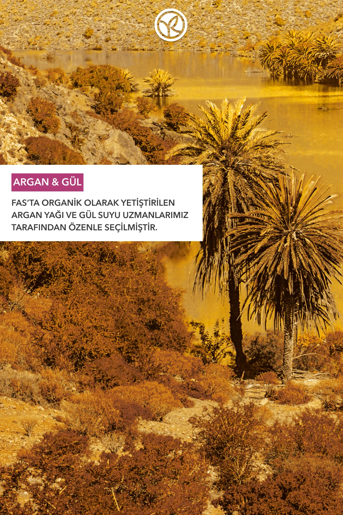 Saç ve Vücut Yağı - Nemlendirici Besleyici Oryantal Argan Gül - V