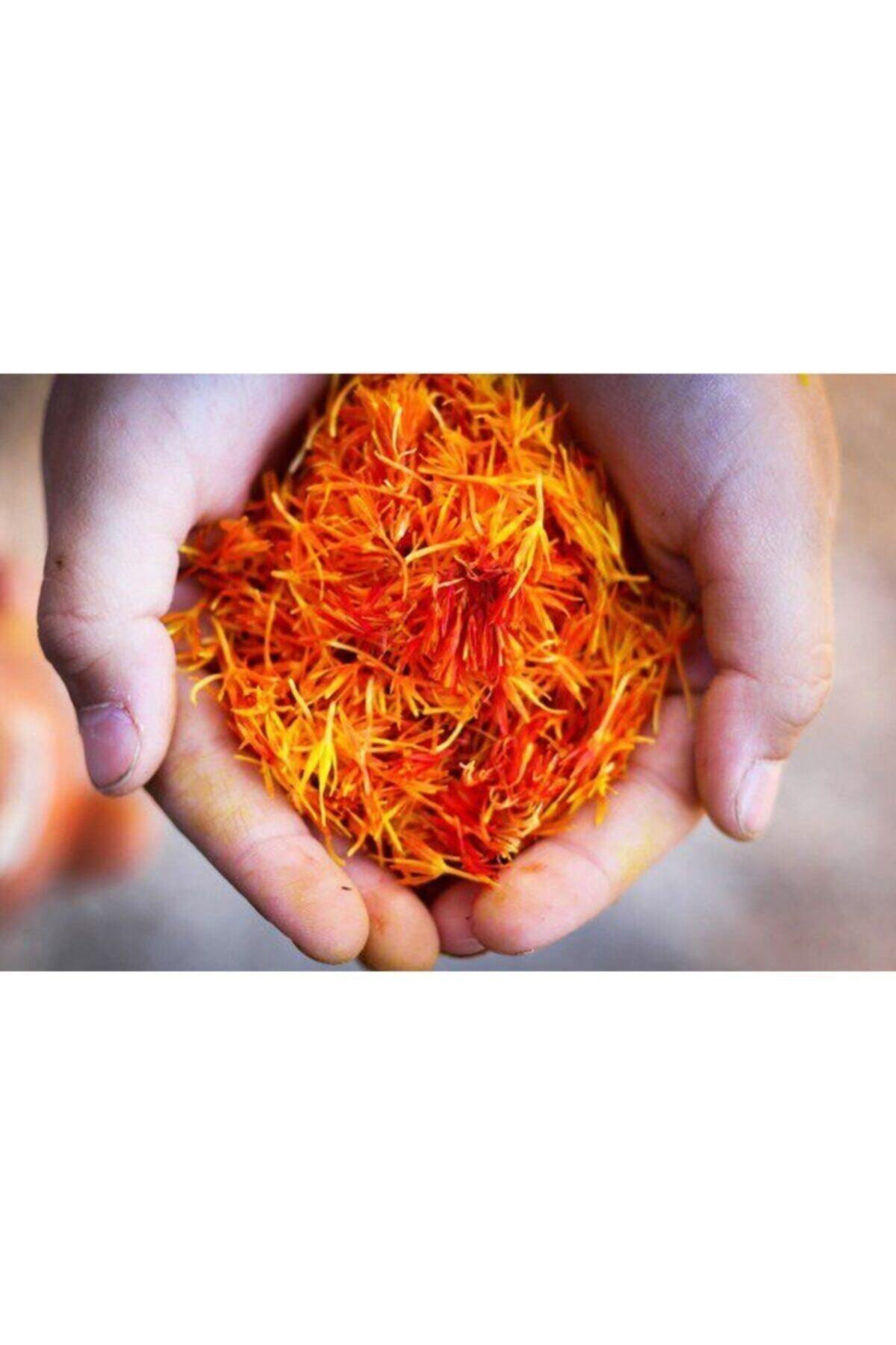 Oxe Garden Safran Çiçeği Soğanı 10 Adet Orjinal Mis Kokulu Soğan Ev Bahçe İç