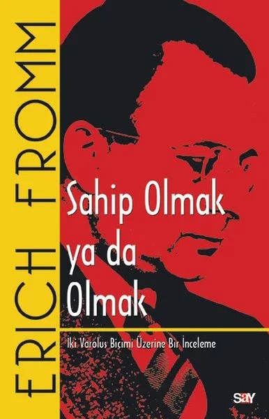 Sahip Olmak ya da Olmak Fiyatı, Yorumları ve Özellikleri