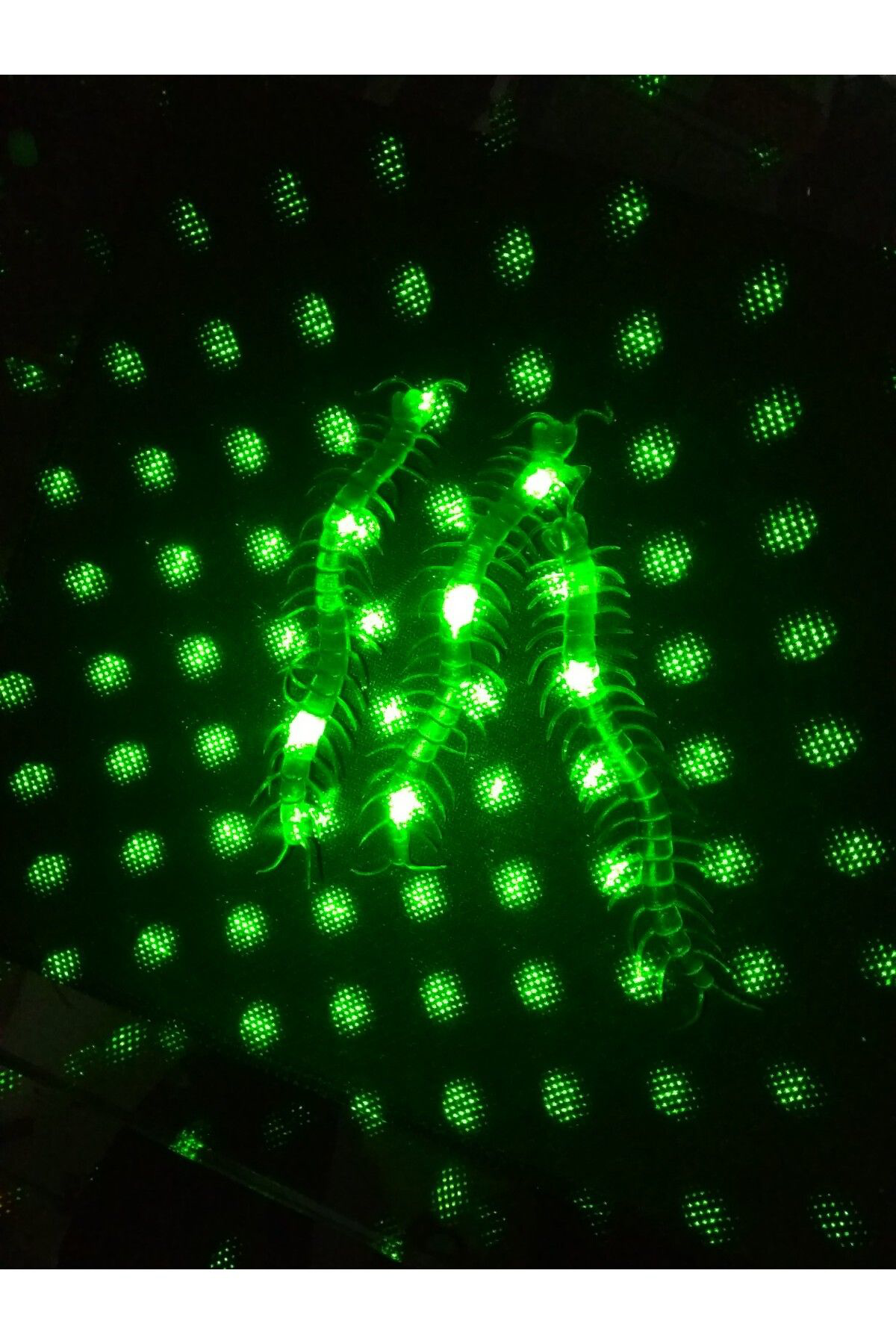 Ok Aksesuar Şaka Yılan Ve Kırkayak Karışık 36 Adet Go50607613910