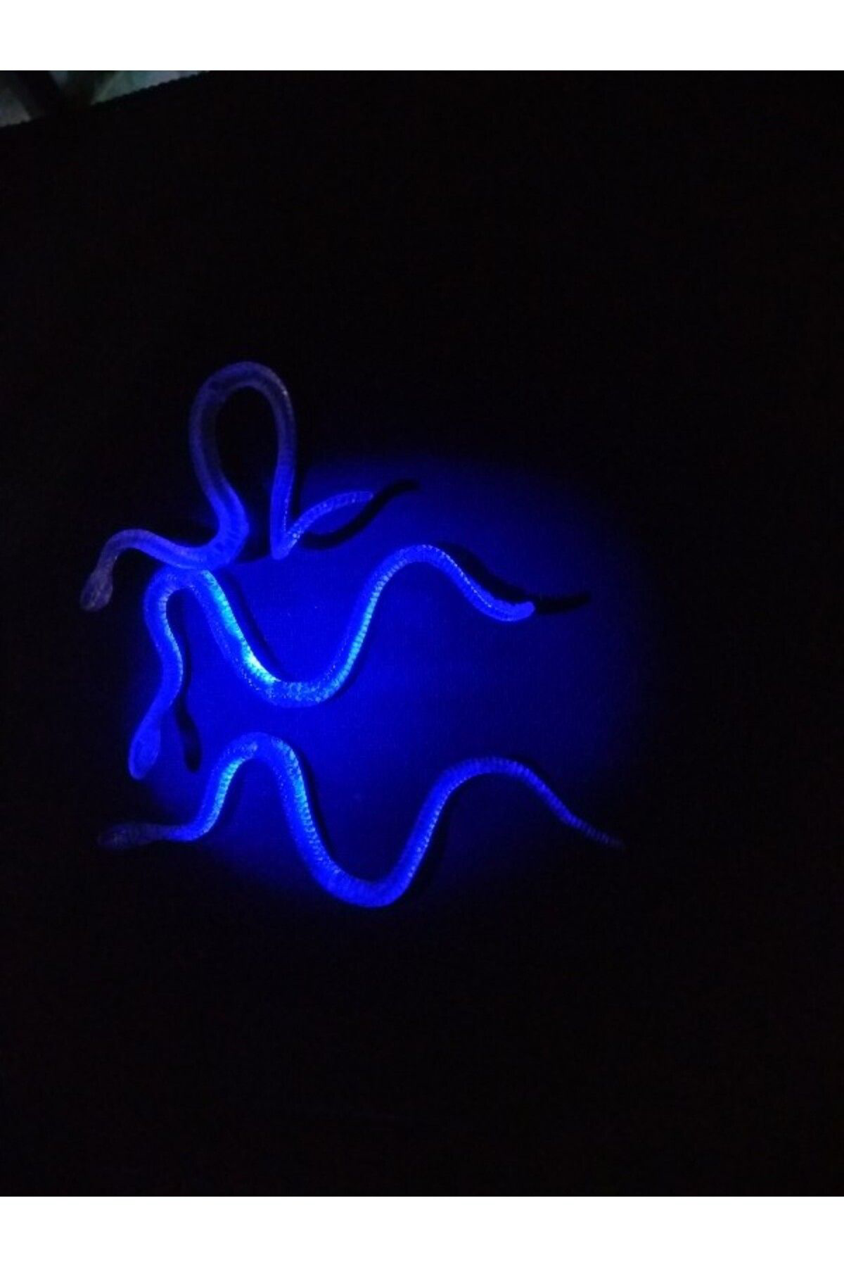 Ok Aksesuar Şaka Yılan Ve Kırkayak Karışık 36 Adet Go50607613910