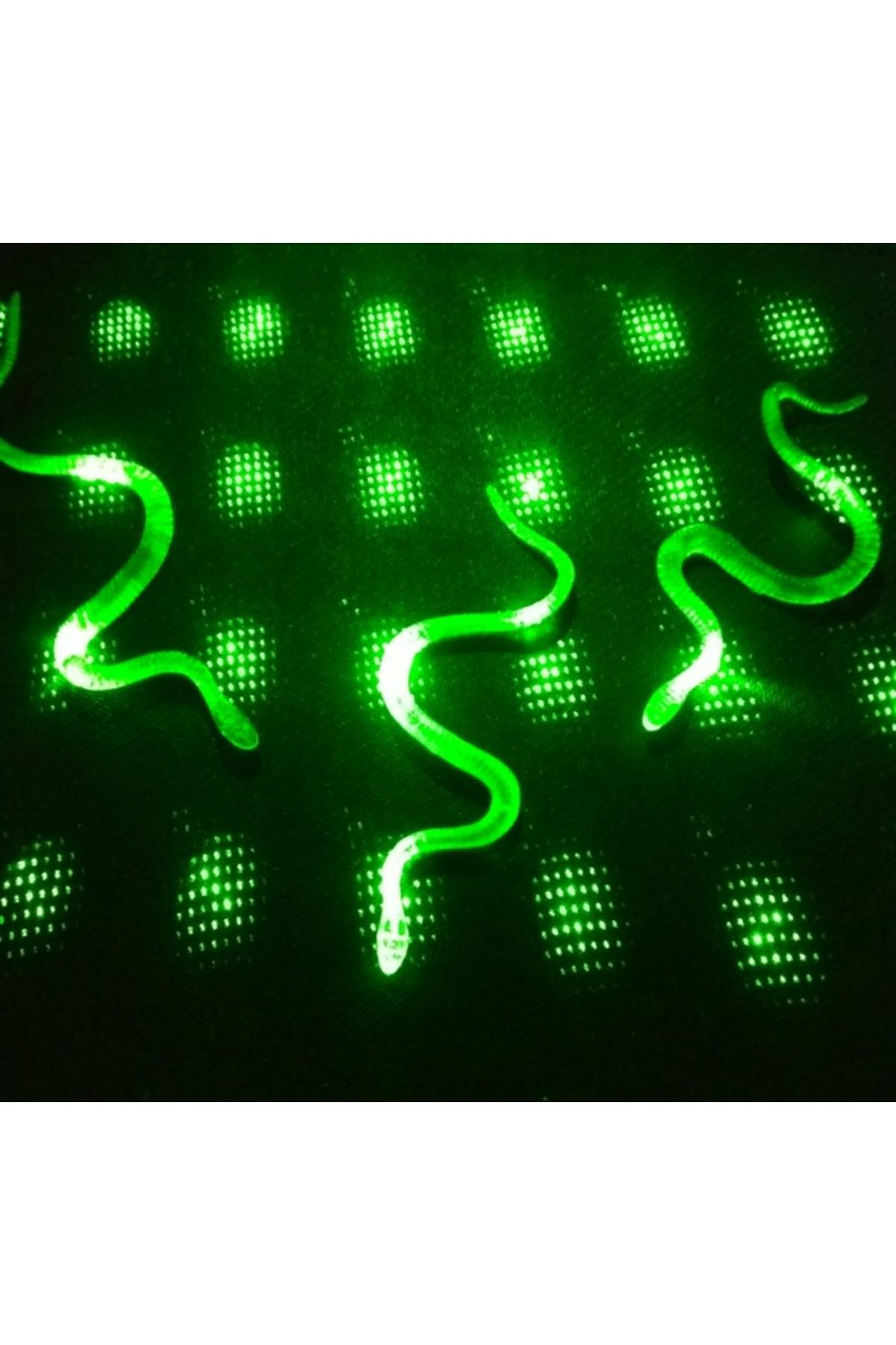 Ok Aksesuar Şaka Yılan Ve Kırkayak Karışık 36 Adet Go50607613910