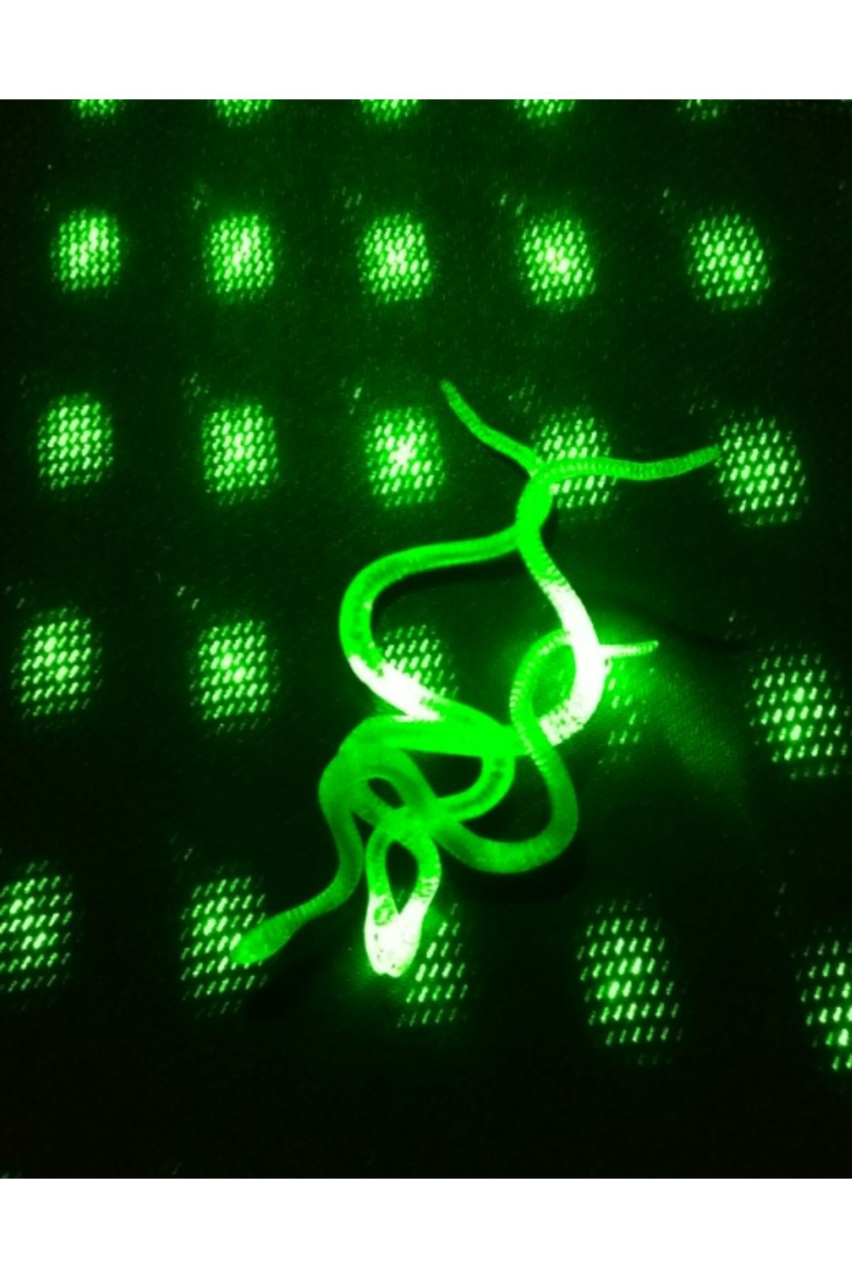 Ok Aksesuar Şaka Yılan Ve Kırkayak Karışık 36 Adet Go50607613910