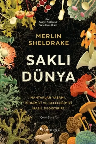 Saklı Dünya Fiyatı, Yorumları ve Özellikleri