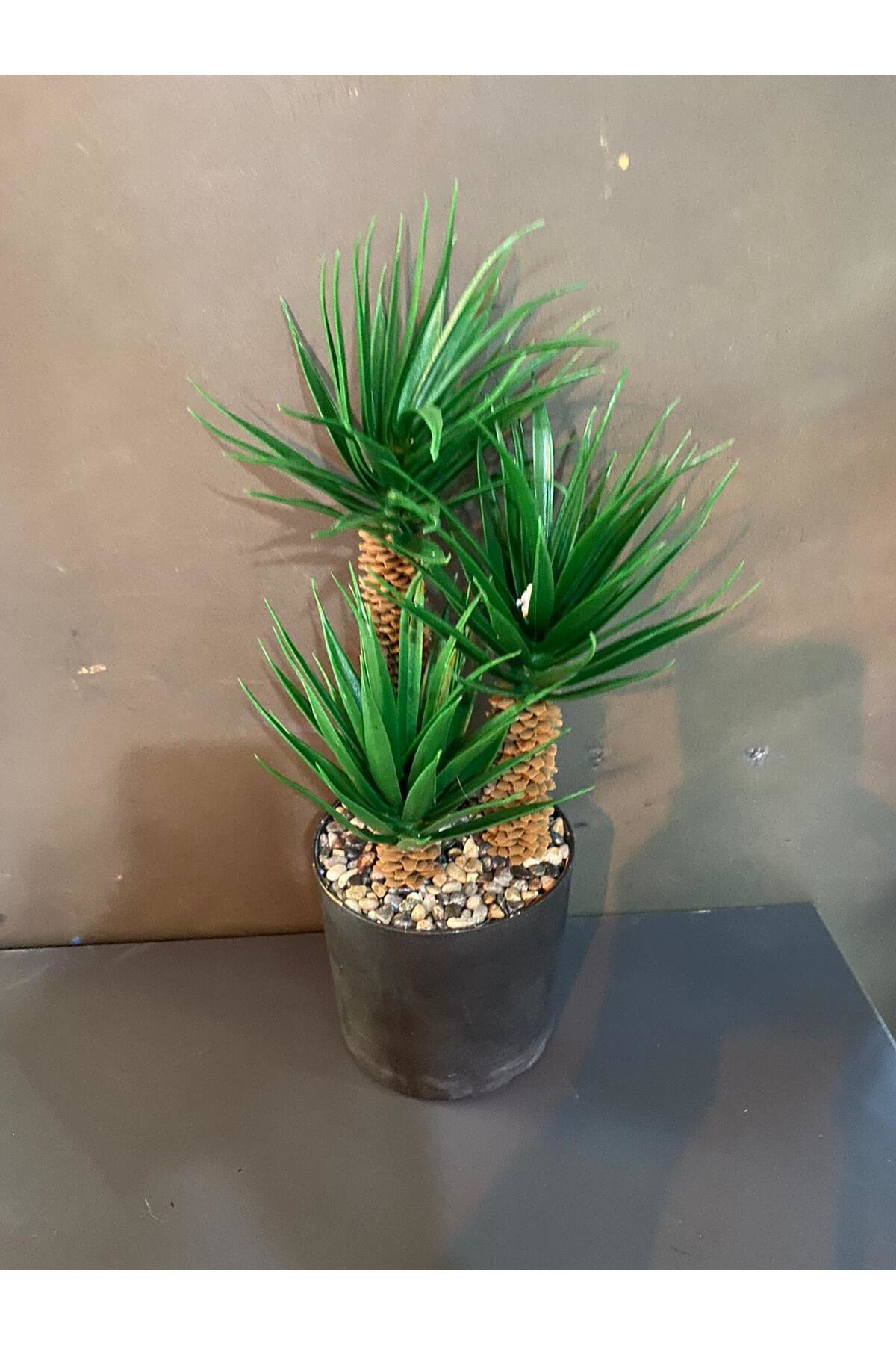 Elif Aksesuar Saksıda 3 Lü Yapay Sukulent