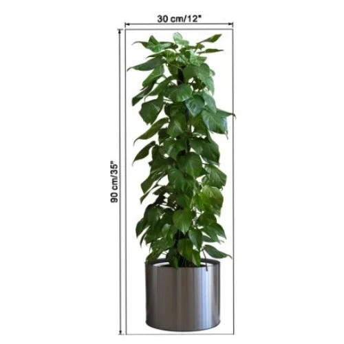 Saksılı Bitki Tasarımlı Yapışkanlı Sticker Resim 90*30 Cm Bx40 Fiyatı, Yorumları ve Özellikleri