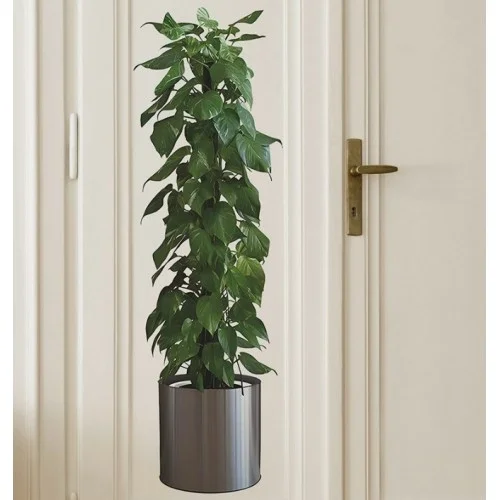 Saksılı Bitki Tasarımlı Yapışkanlı Sticker Resim 90*30 Cm Bx40 Fiyatı, Yorumları ve Özellikleri
