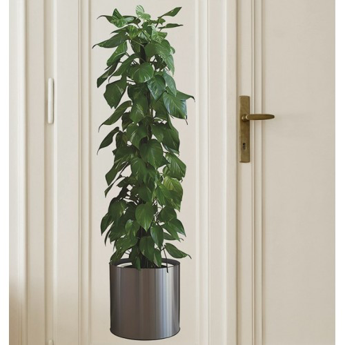 Saksılı Bitki Tasarımlı Yapışkanlı Sticker Resim 90*30 cm (4741) Saksılı Bitki Tasarımlı Yapışkanlı Sticker Resim 90*30 cm (4741)