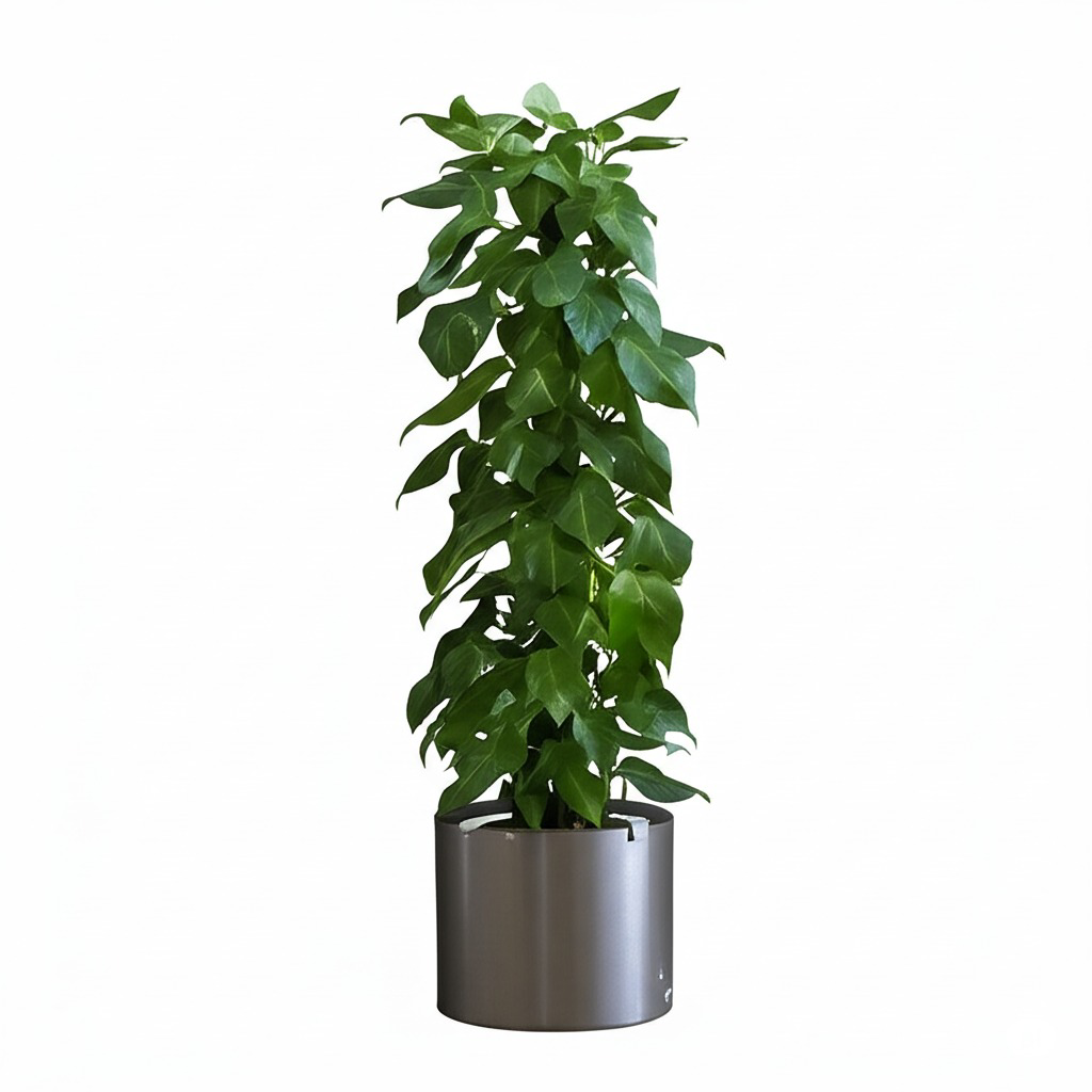 Saksılı Bitki Yapışkanlı Duvar Stickerı 90x30 cm Şeffaf Lazer Kes