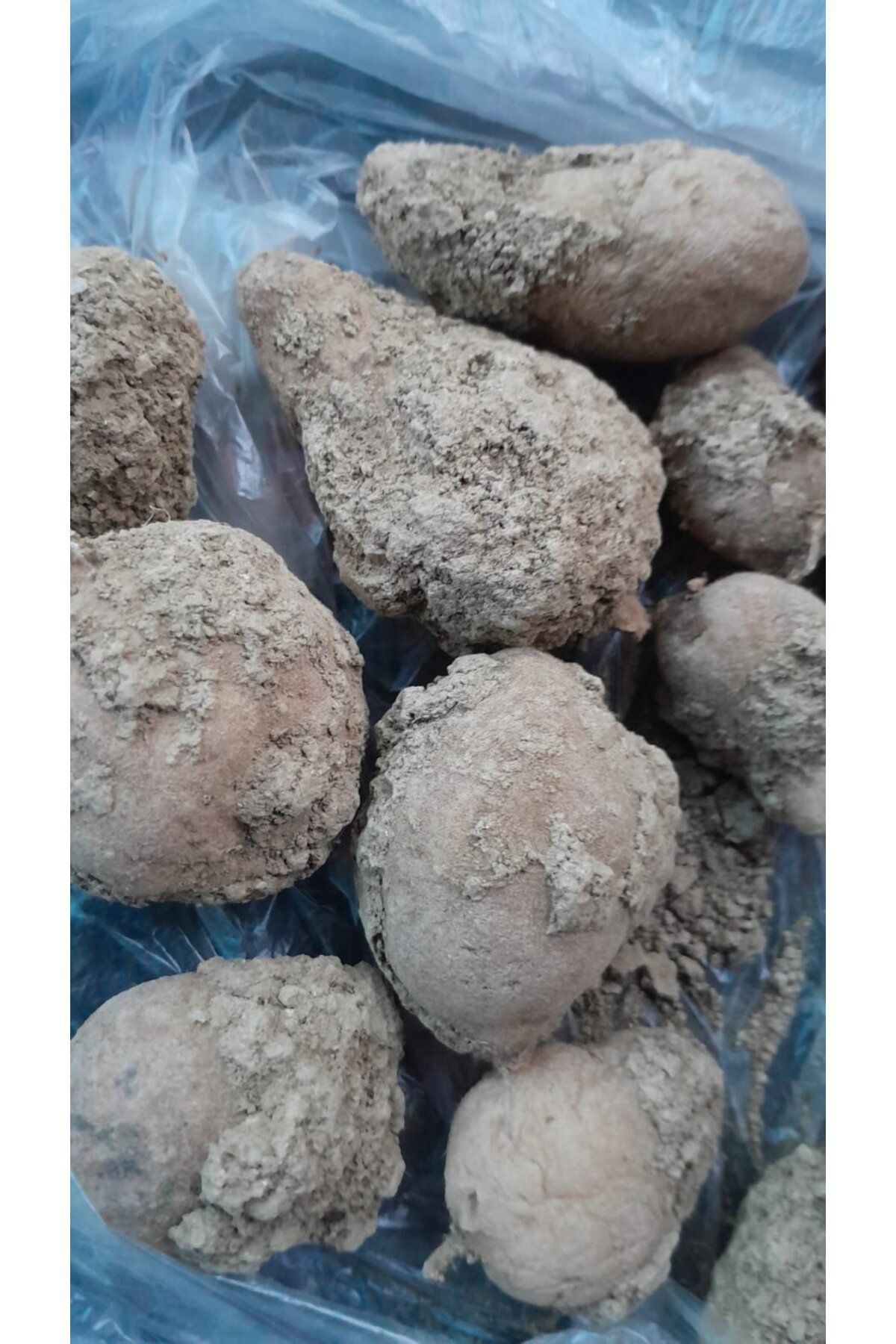 Lider Salep Salep Yumrusu | 150 Adet | Organik Salep Yumrusu & Doğal Salep To