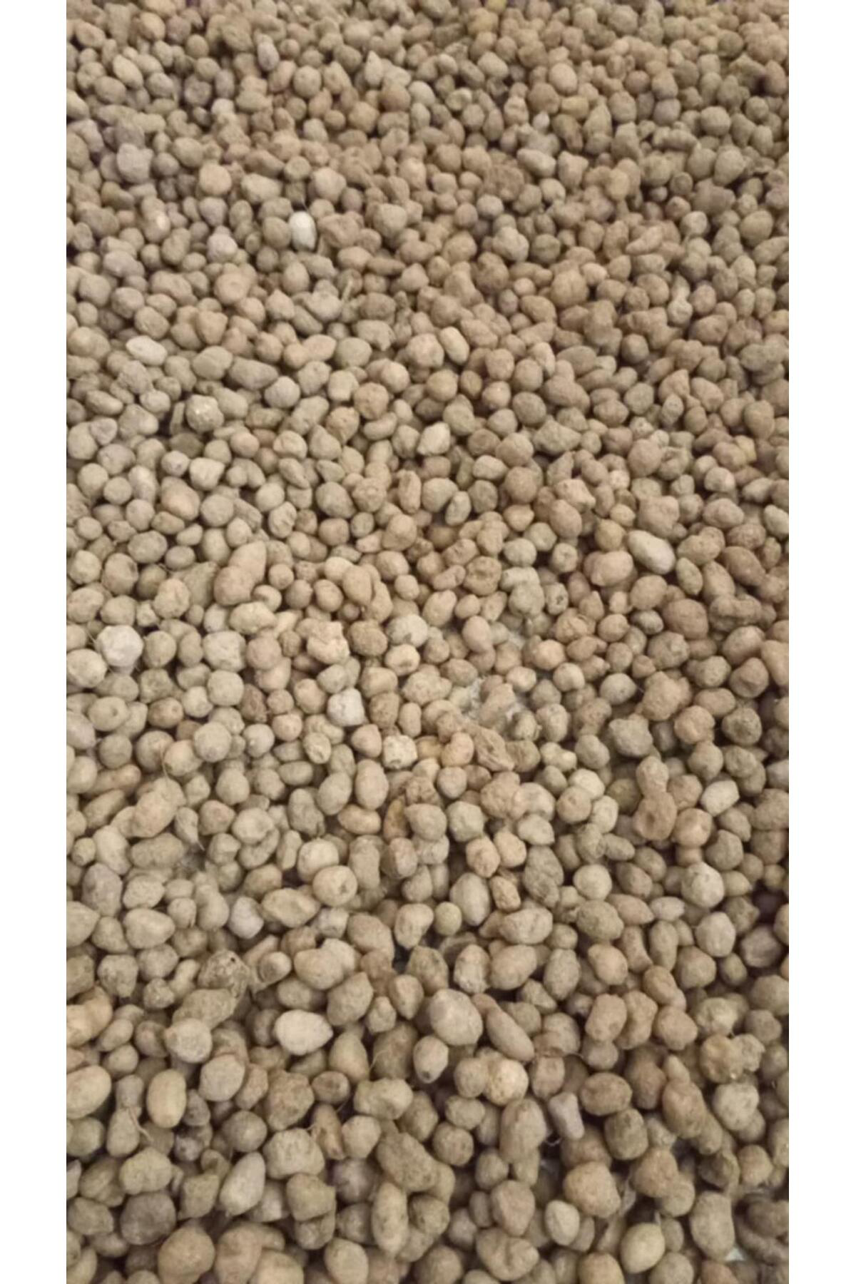 Salep Yumrusu 200 Ad Serapies,arılı,kum Salep Yumru Gönderimi Yap