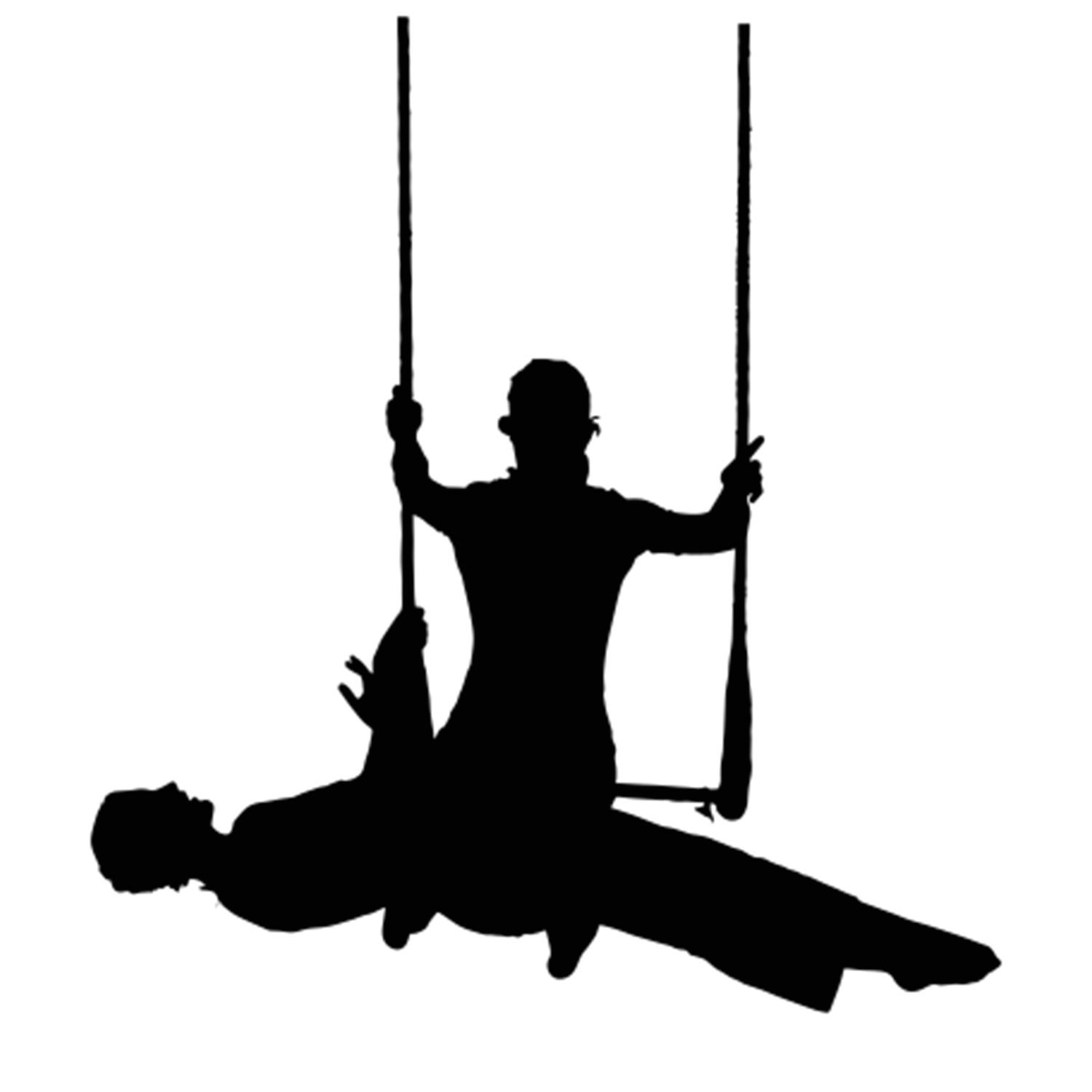 SALINCAK FOLYO STİCKER