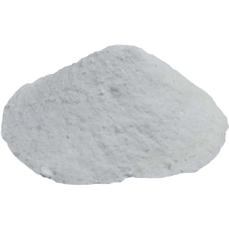 Salisilik Asit Toz Koruyucu 100g - Domates Salçası ve Turşu Koruyucu Fiyatı, Yorumları ve Özellikleri