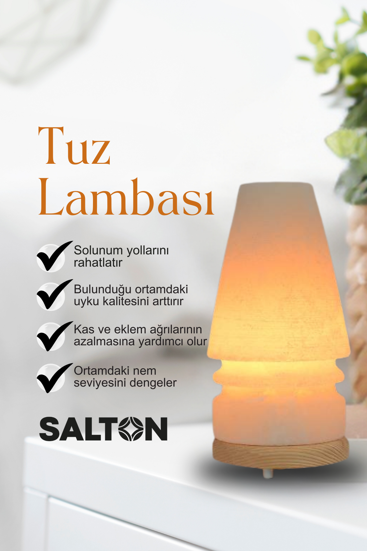 Salton Salt Salton Abajur Tuz Lambasi