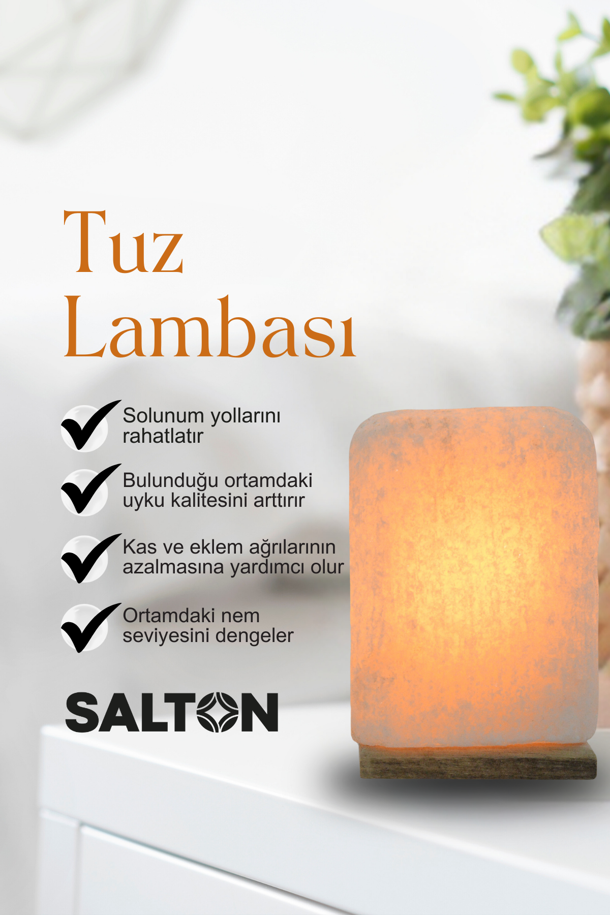 SALTON DOĞAL TUZ LAMBASI