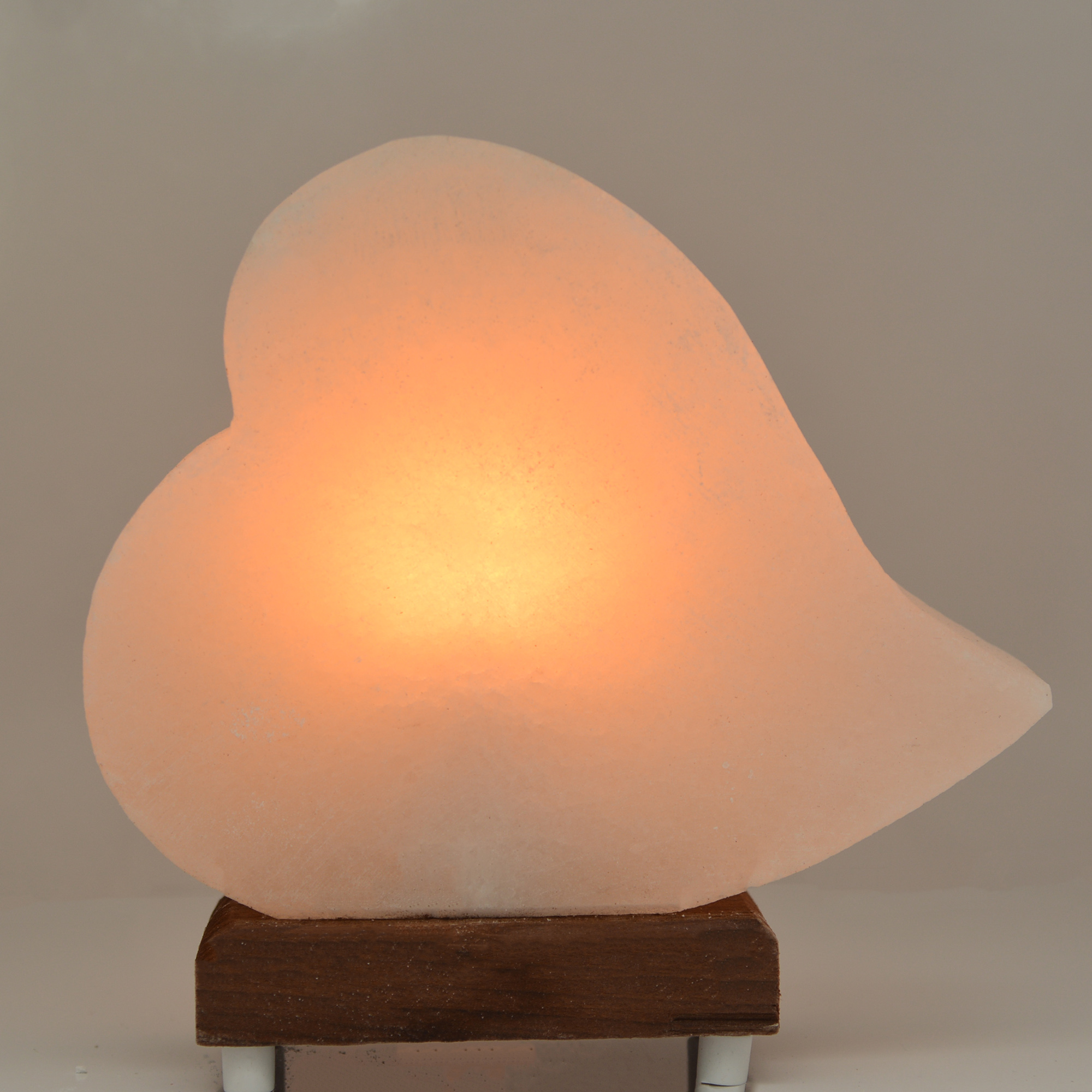 SALTON KALP TUZ LAMBASI