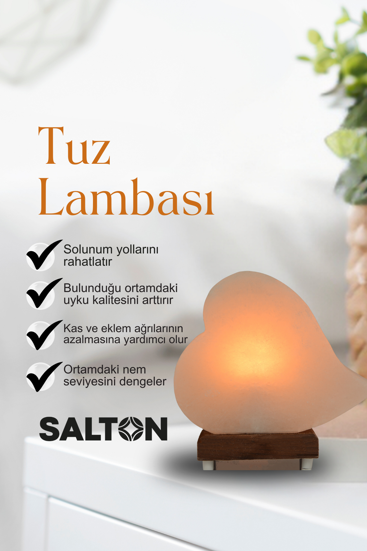SALTON KALP TUZ LAMBASI