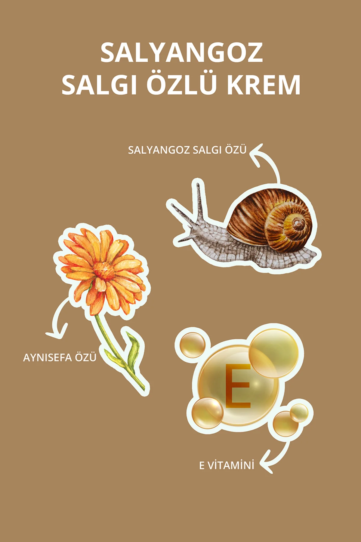 Salyangoz Salgı Özlü Kırışıklık Karşıtı Snail Krem 45 ml