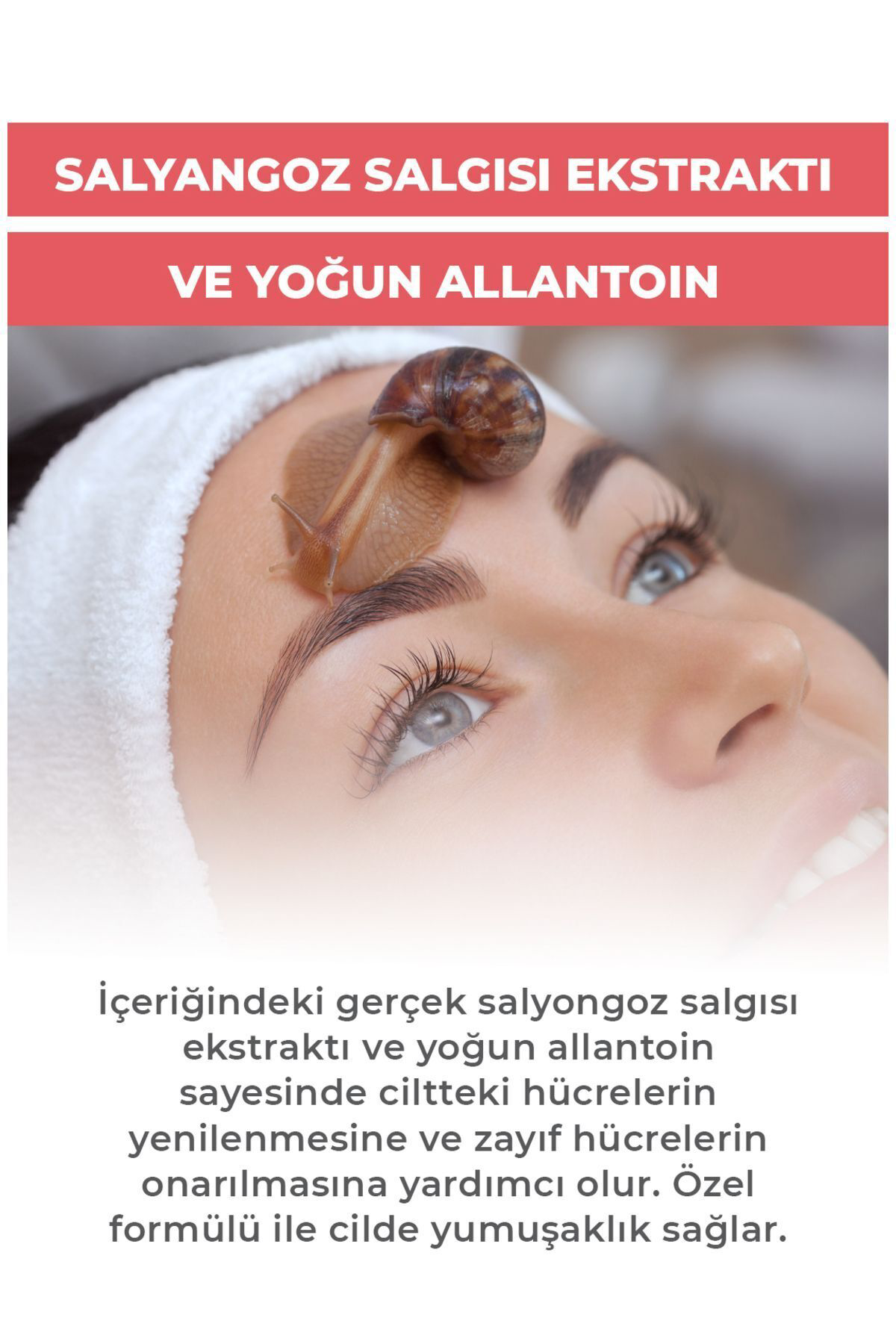 Ab-I Gül Salyangoz Salgısı Ekstraktı Kremi 45 Ml - İntensive Snail Cream