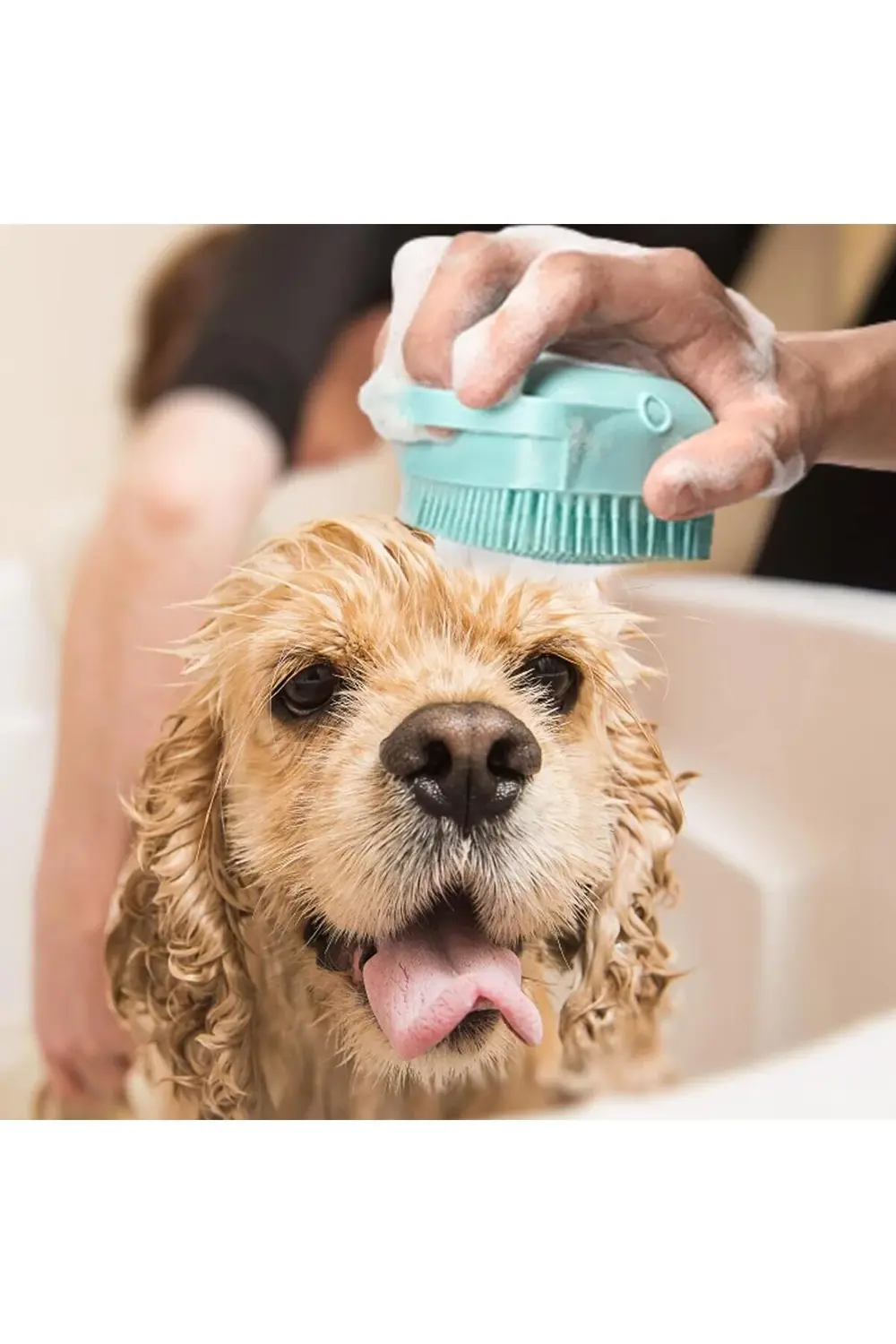 Şampuan Hazneli Kedi Ve Köpek Evcil Hayvan Yıkama Fırçası Silikon