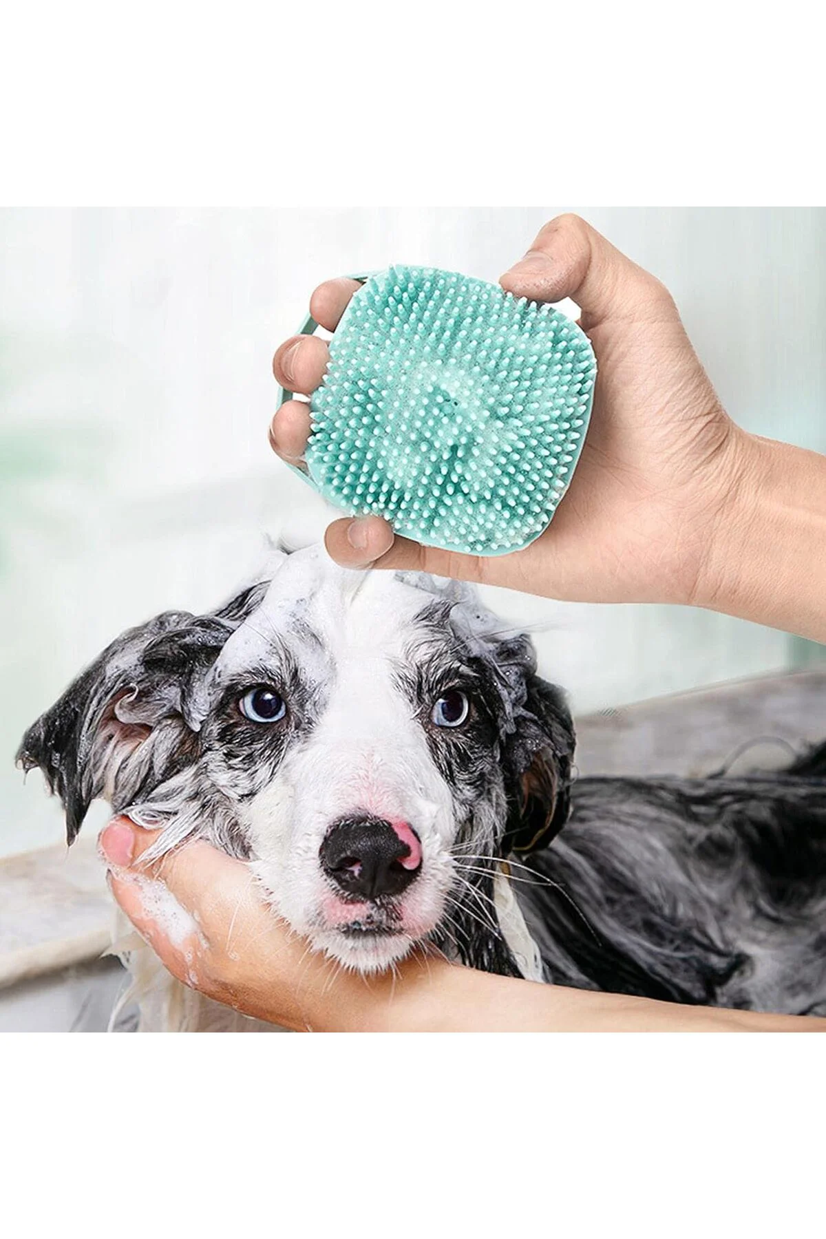 Şampuan Hazneli Kedi Ve Köpek Evcil Hayvan Yıkama Fırçası Silikon
