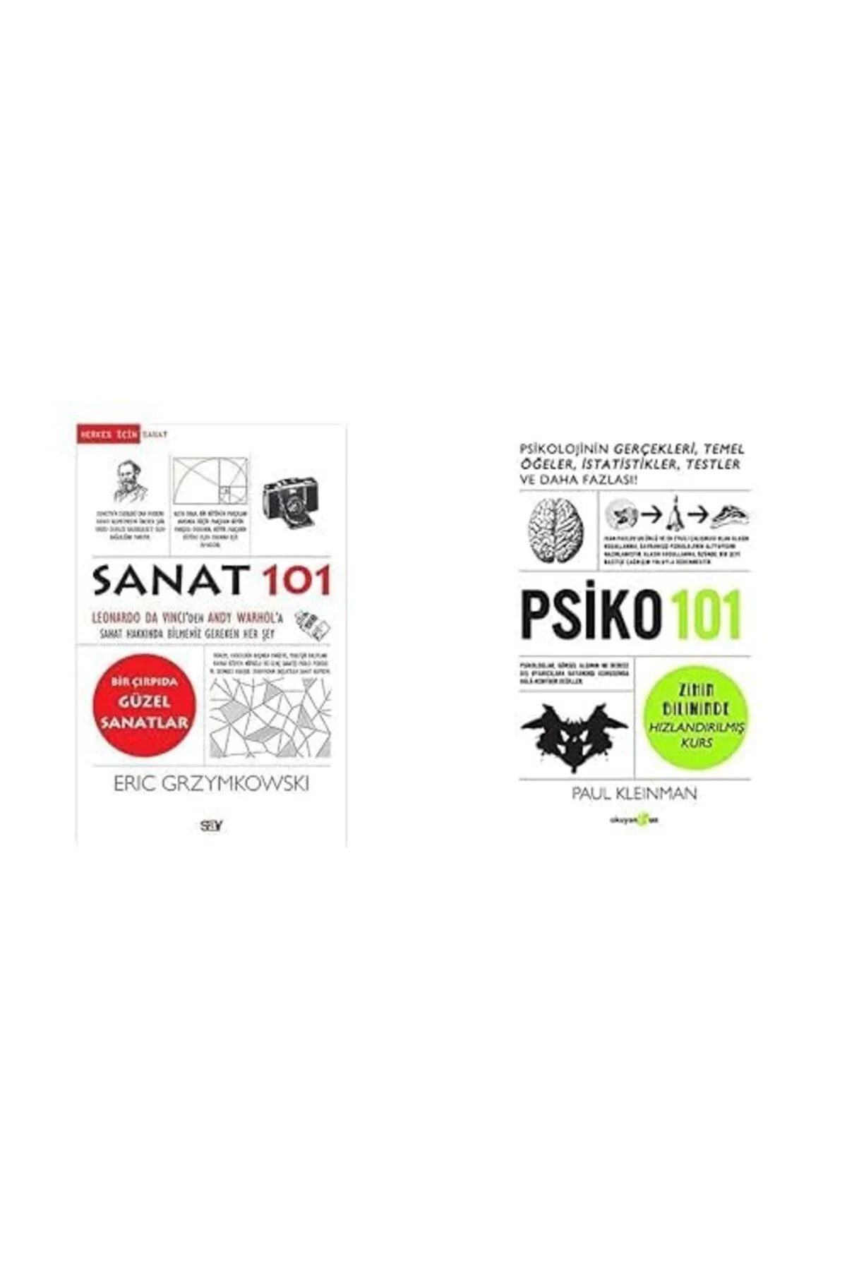 sanat 101+psikoloji 101=(2kitap)