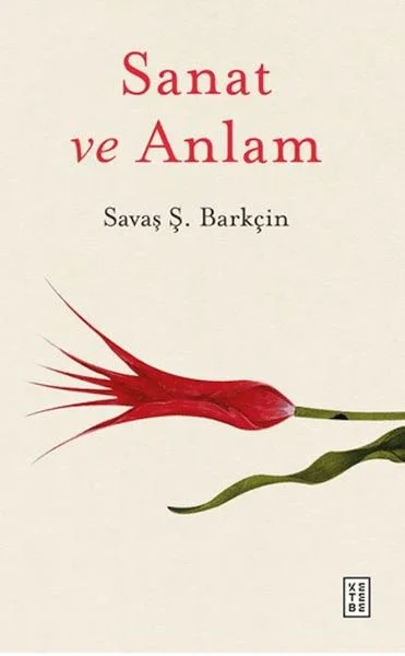 Sanat ve Anlam Fiyatı, Yorumları ve Özellikleri