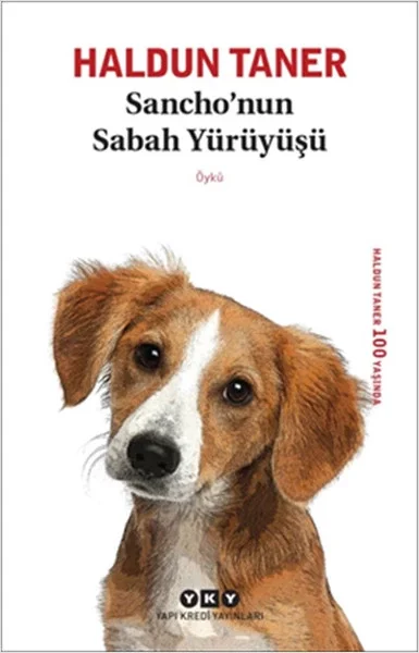 Sanchonun Sabah Yürüyüşü Fiyatı, Yorumları ve Özellikleri
