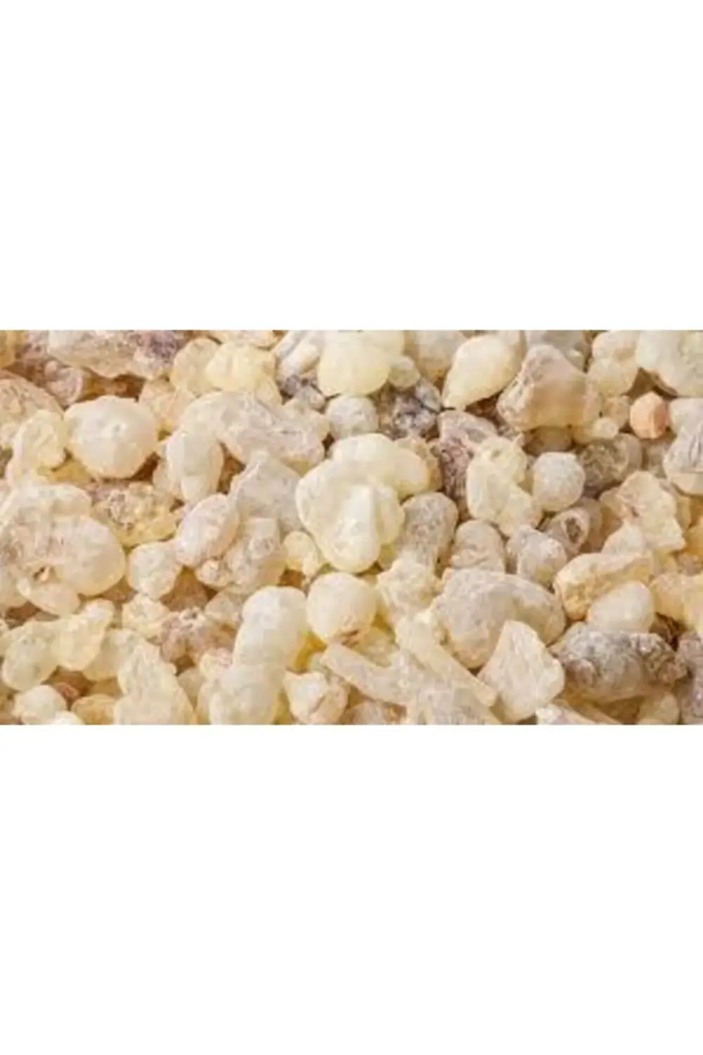 Sandaloz Sakızı 1 kg