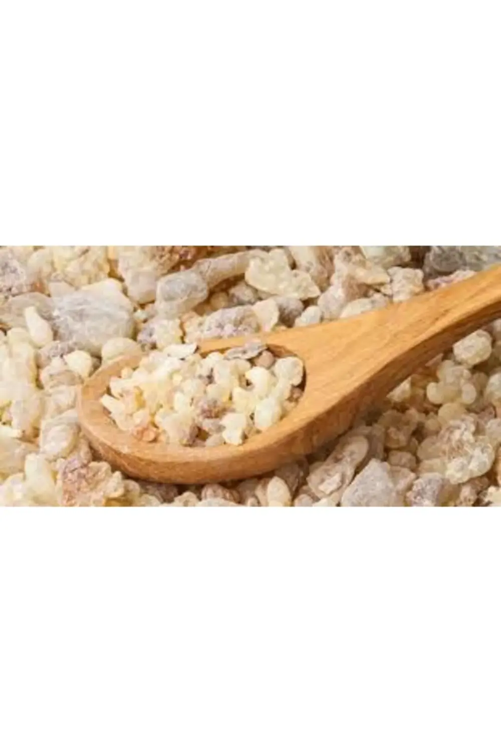 Sandaloz Sakızı 1 kg