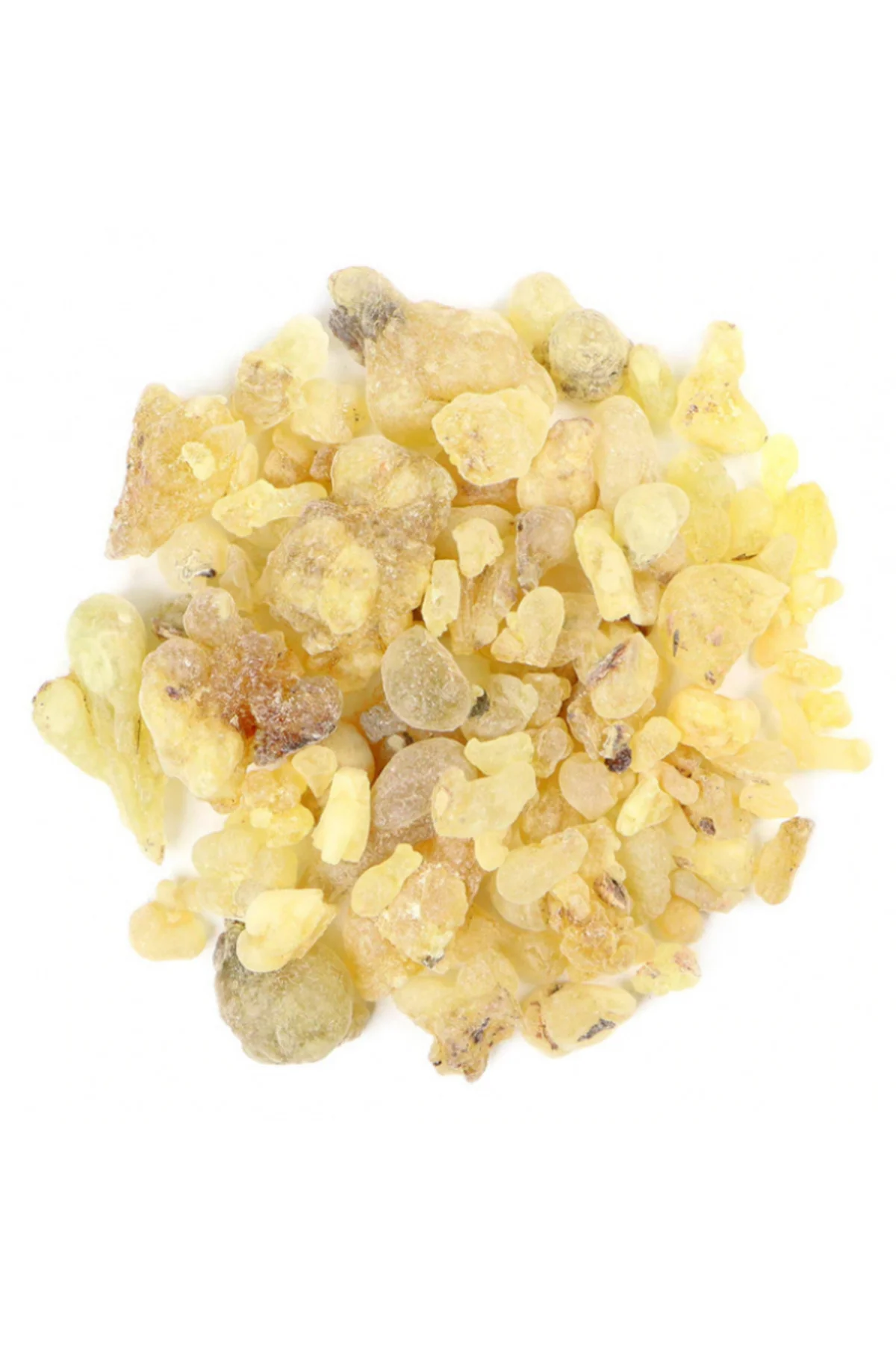 Sandaloz Sakızı 100 gr