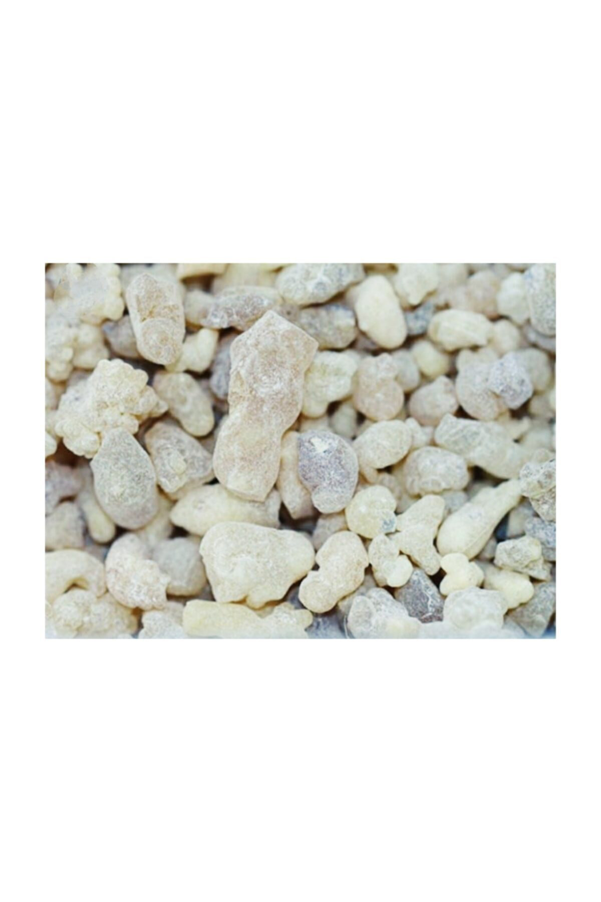 Sandaloz sakızı 100 gr