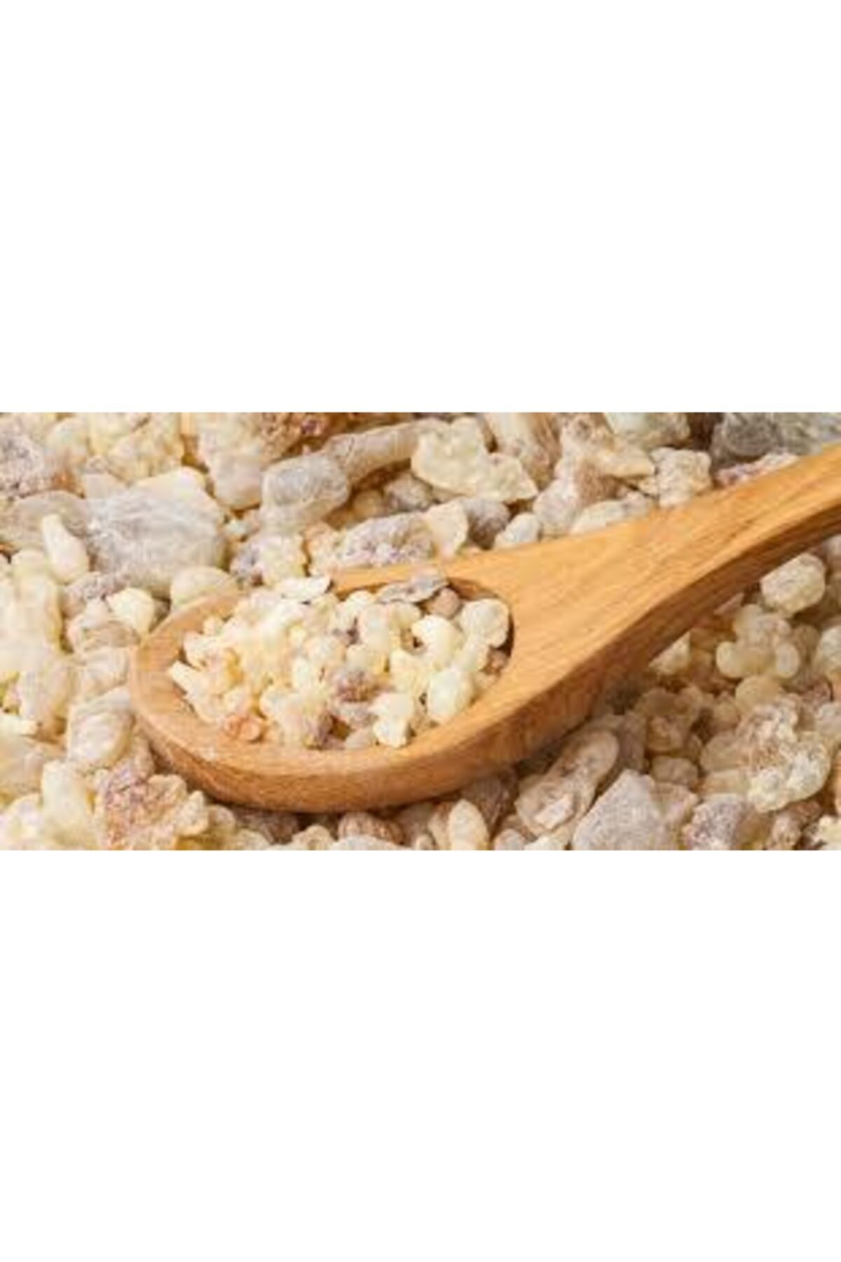 Sandaloz Sakızı 500 gr