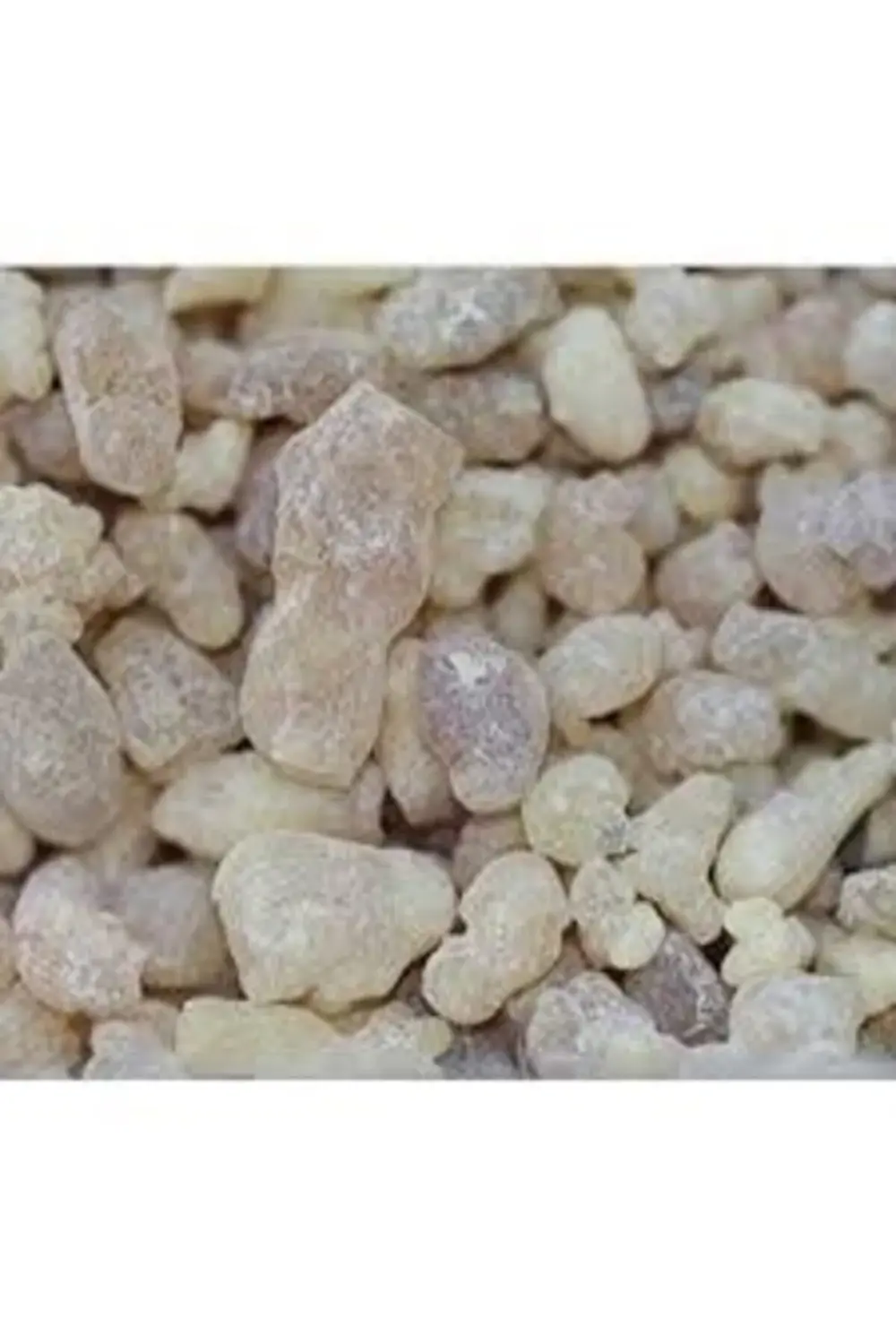 Sandaloz Sakızı 500 gr