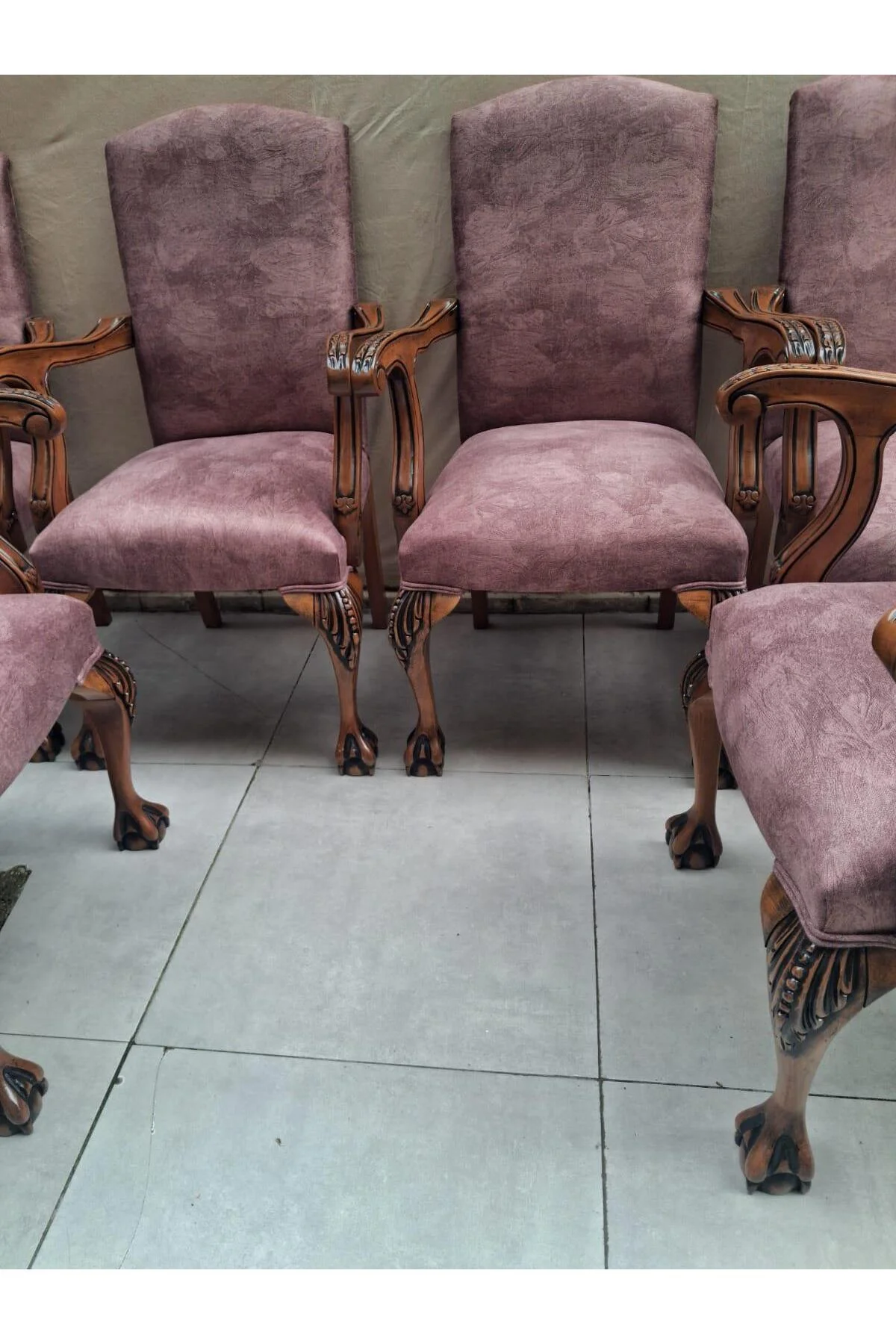 Sandalye Berjer Bengi 90621 Model Aslan Ayak Oymalı Gölge Desen Ceviz Boyalı 6 Adet - Görsel 8