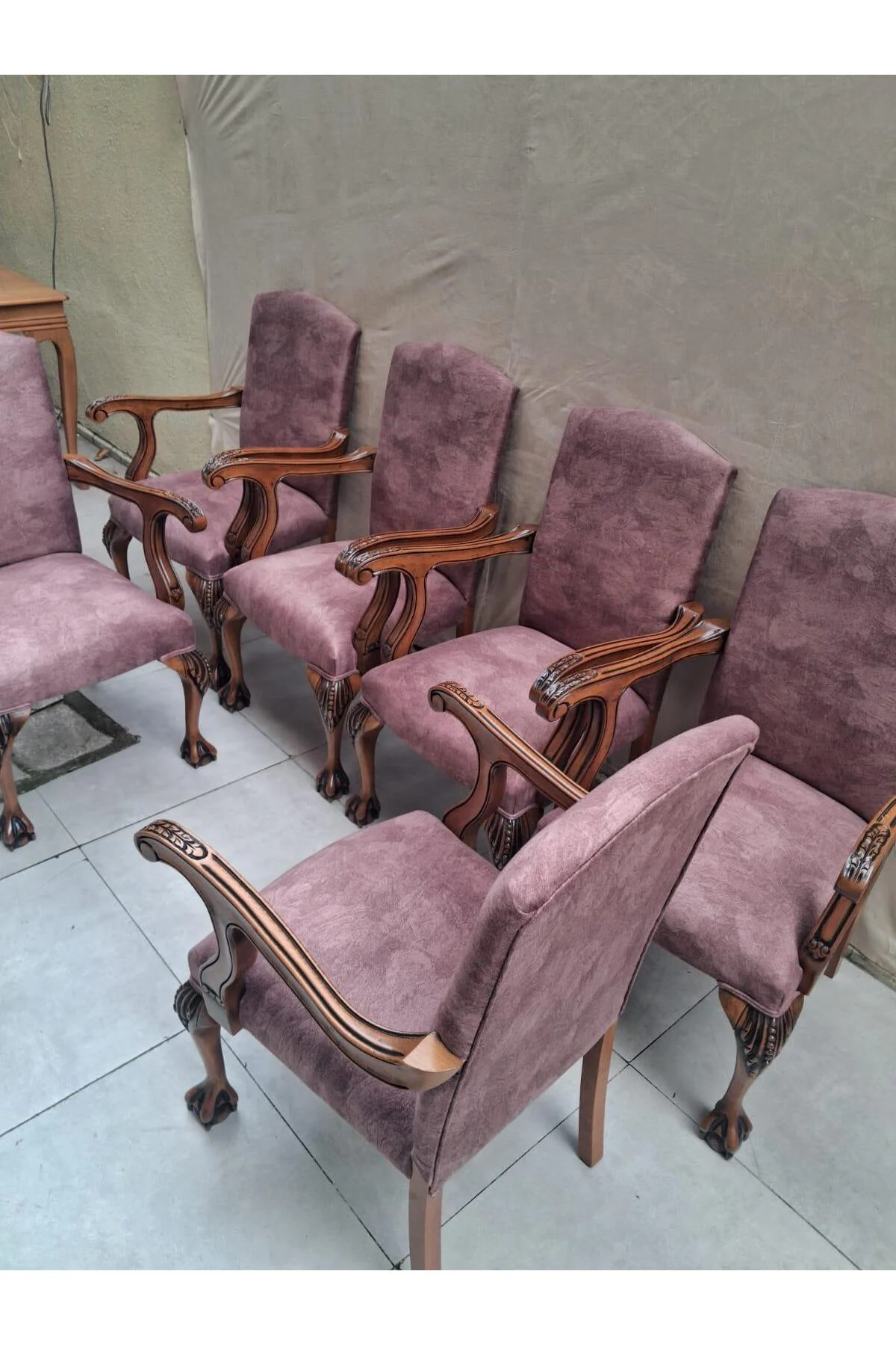 Sandalye Berjer Bengi 90621 Model Aslan Ayak Oymalı Gölge Desen Ceviz Boyalı 6 Adet - Görsel 7