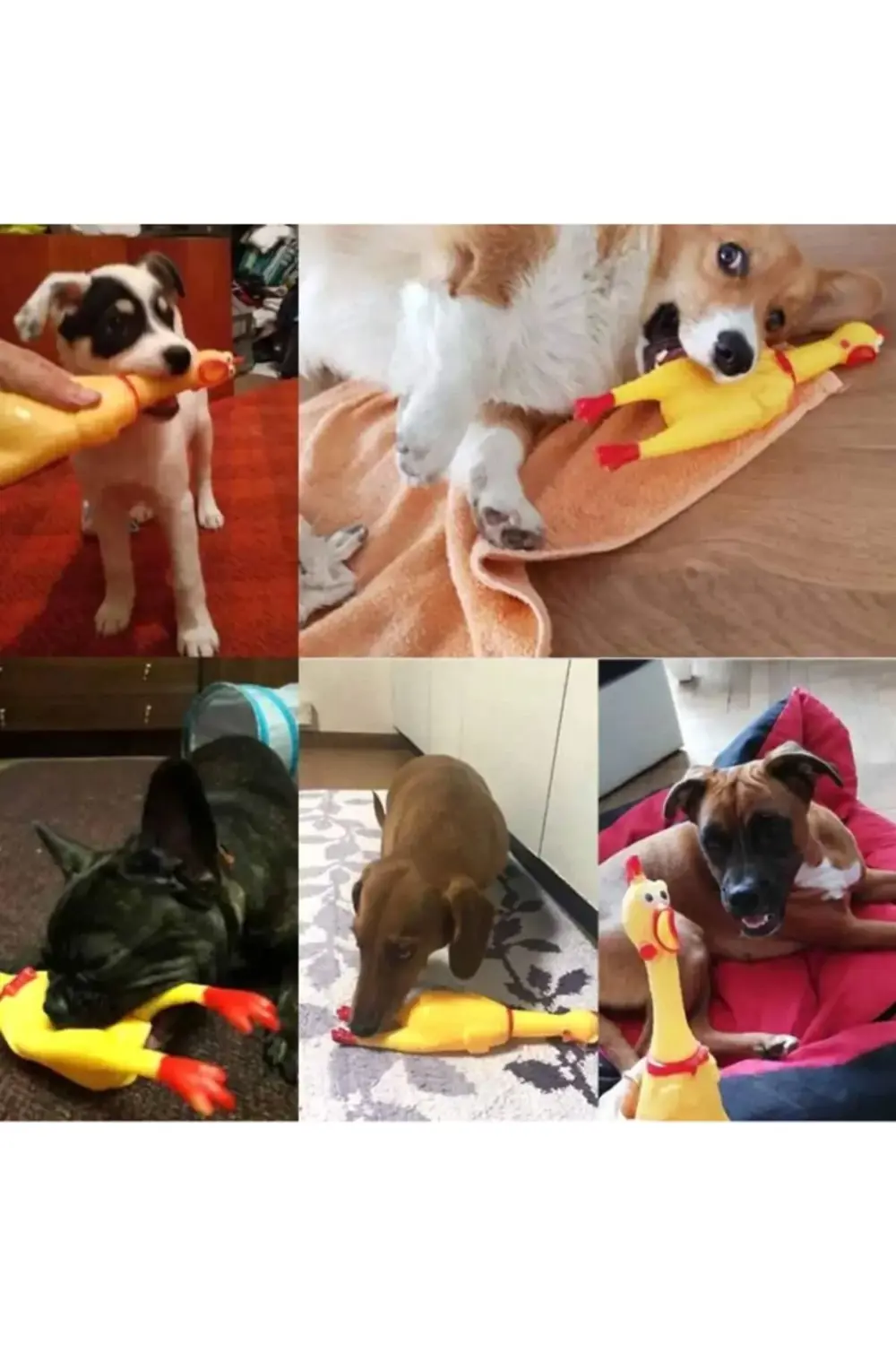 Sarı 30 CM Evcil Köpek Oyuncakları Çığlık Atan Tavuk