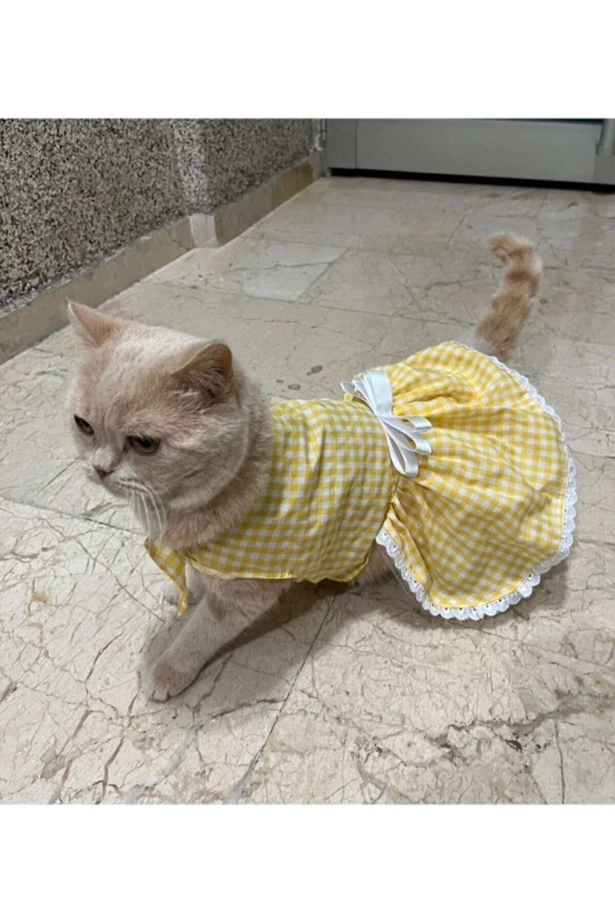 Sarı Beyaz Kareli Fiyonklu Kedi Köpek Kıyafeti Elbisesi Medium/M/
