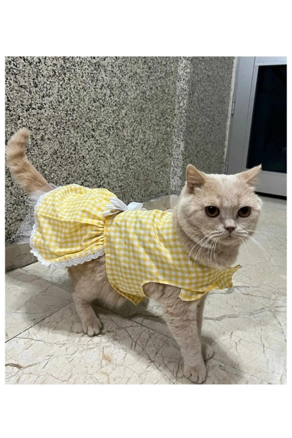 Sarı Beyaz Kareli Fiyonklu Kedi Köpek Kıyafeti Elbisesi Medium/M/